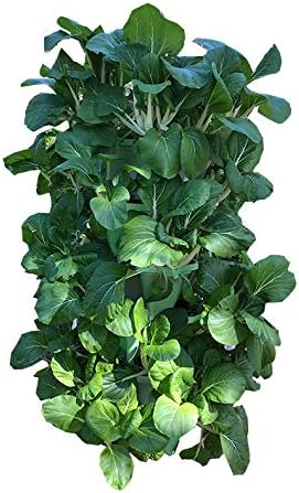 Mr. Stacky© 5-Tier 13 inch Wide - (Stone Color) Strawberry and Herb Garden Planter - Stackable Gardening Pots with 10 Inch Saucer