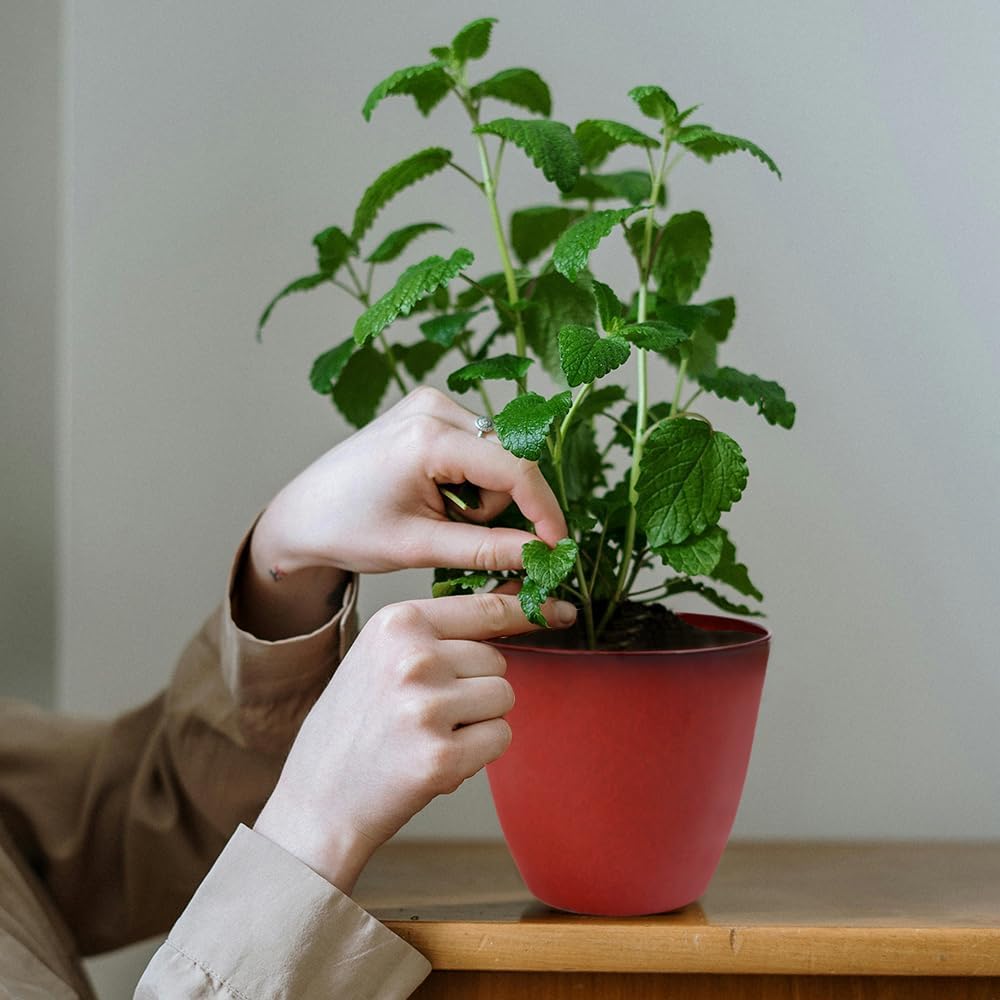 3Pack Plant Pots Durable Decorative Flower Pots,6 Inch Planter Set for Indoor and Outdoor Plants,Flowers,Succulents (Red)