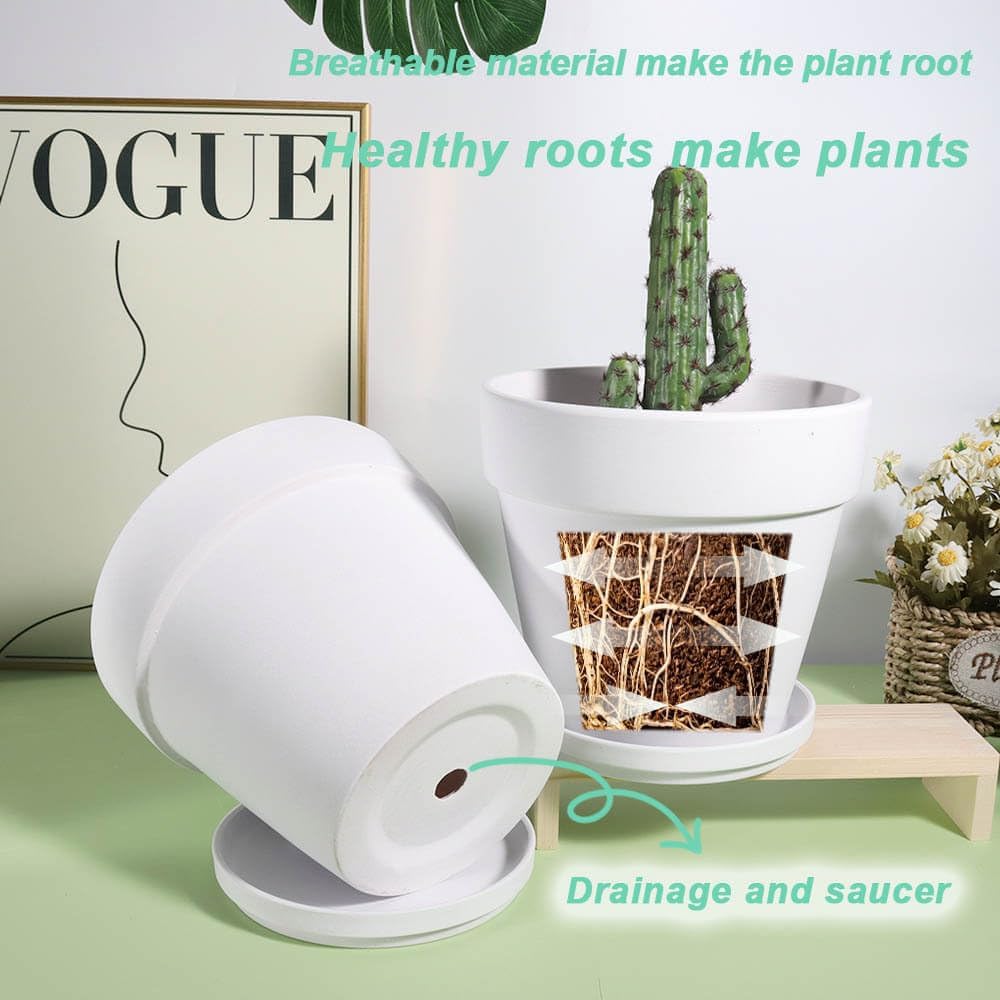 vensovo 6 Inch White Terracotta & Clay Pots for Plant with Saucer - 4 Pack Medium Terra Cotta Planter with Drainage Hole, Flowerpot for Indoor Outdoor Plants, Crafts, Wedding Favor