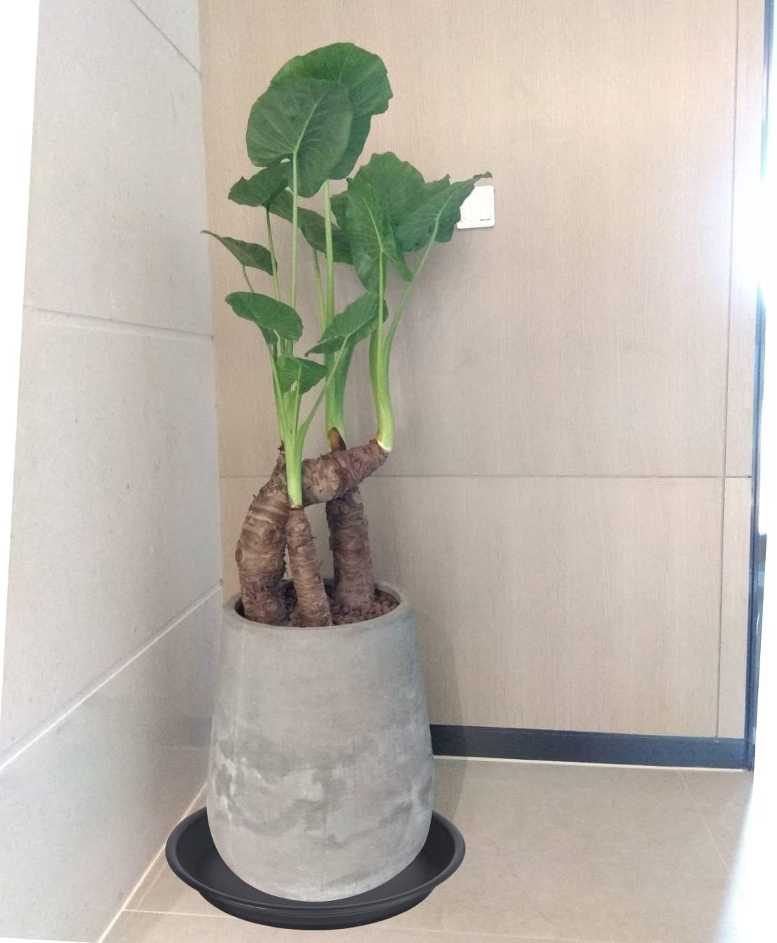 2 Pack of 18 19 inch Plant Saucer, Large Deep Plastic Flower Planter Saucers and Drip Trays for Indoors Outdoors, Heavy Durable Plant Plate Water Catcher, Tray for Planter 15-19" (18", Black)