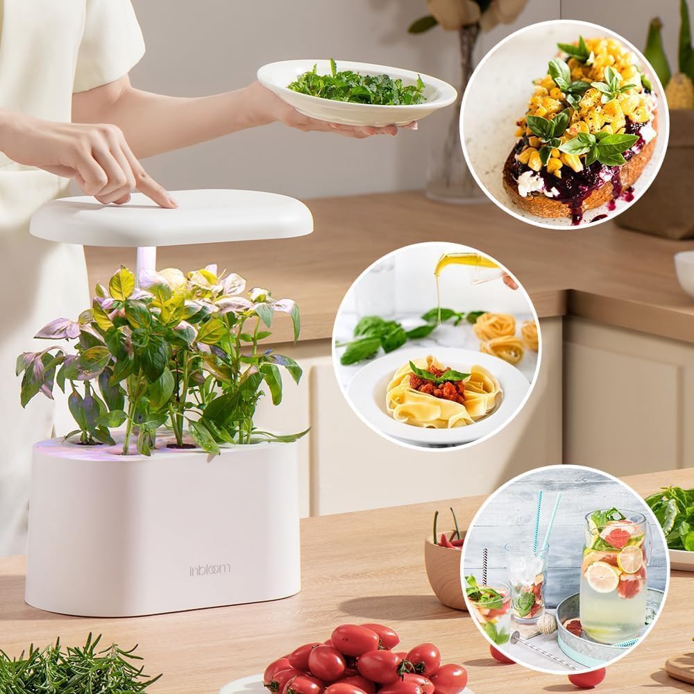 inbloom Herb Seed Pods Kit for AeroGarden, 7-Pods with Basil, Cilantro, Parsley Seed Hydroponic Growing System Kit, Seeds Starter Pod for idoo, Ahopegarden Gardening Supplies