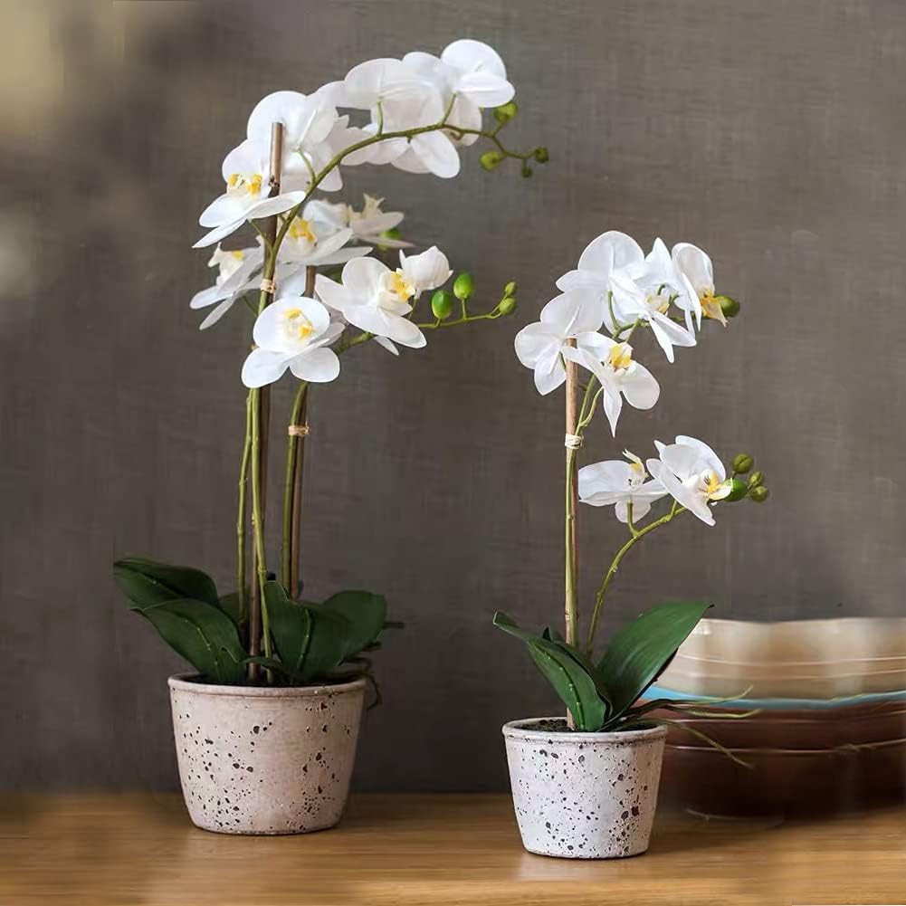 40pcs Natural Bamboo Sticks for Indoor and Outdoor Plants, 16 Inch Plant Support Stakes for Tomato, Beans, Potted Plants and Vegetable