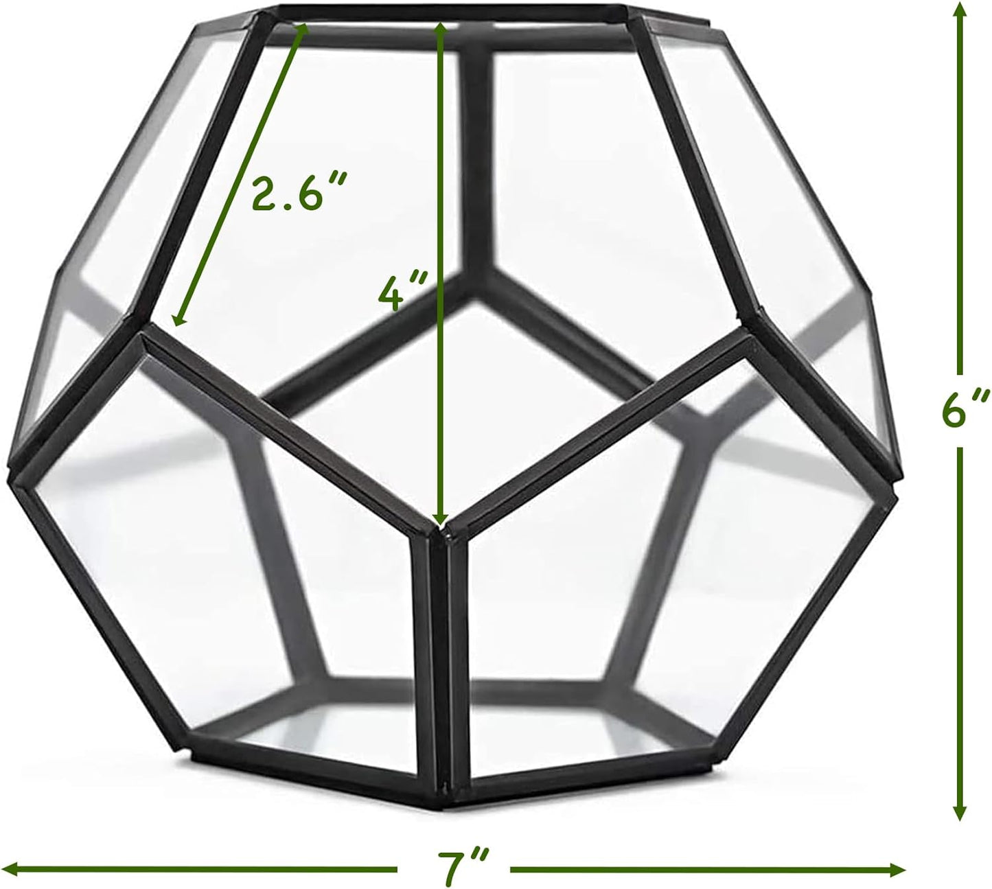 Cute Farms Glass Terrarium Kit | Just Add Your Own Plants (Geometric Glass + Live Plants)
