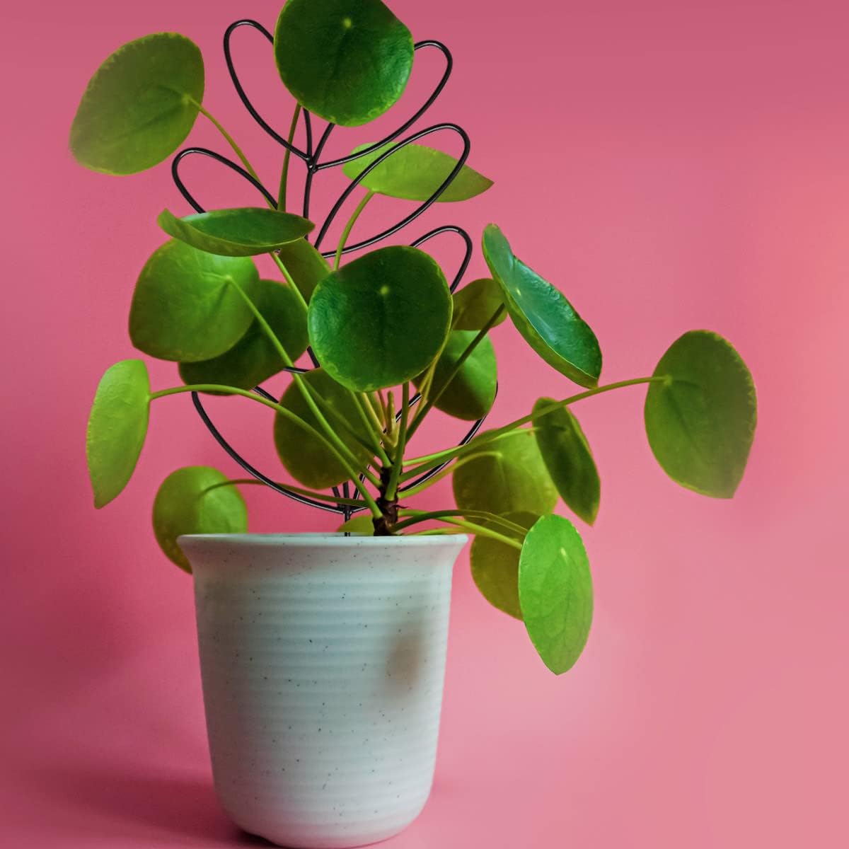 2Pack Indoor Plant Trellis Metal Wire Garden Trellis ,Small Climbing Leaf Shape Trellis for Garden Potted Plant Houseplant(Blackish)