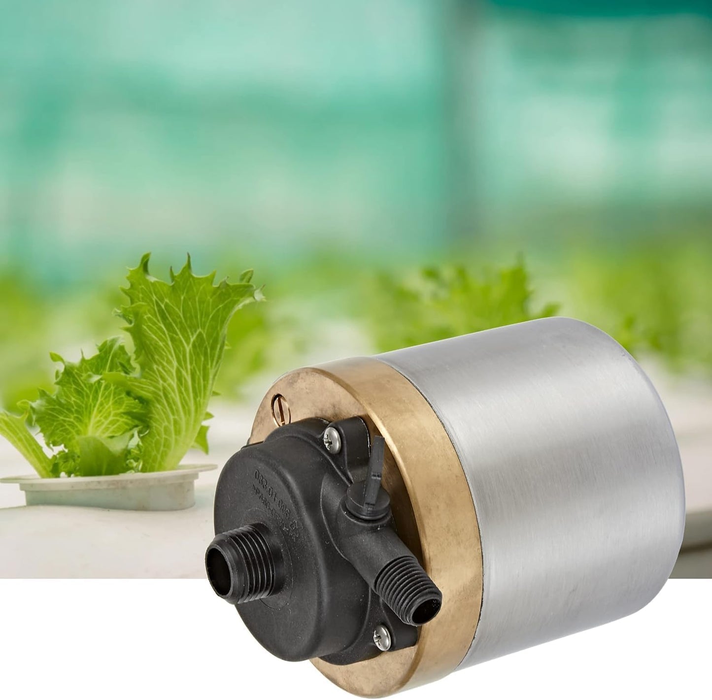 Little Giant S1200PT-20 115 Volt, 920 GPH Oil-less Stainless Steel and Bronze Direct Drive Pump for Fresh or Salt Water Ponds or Fountains, Steel, 517100004