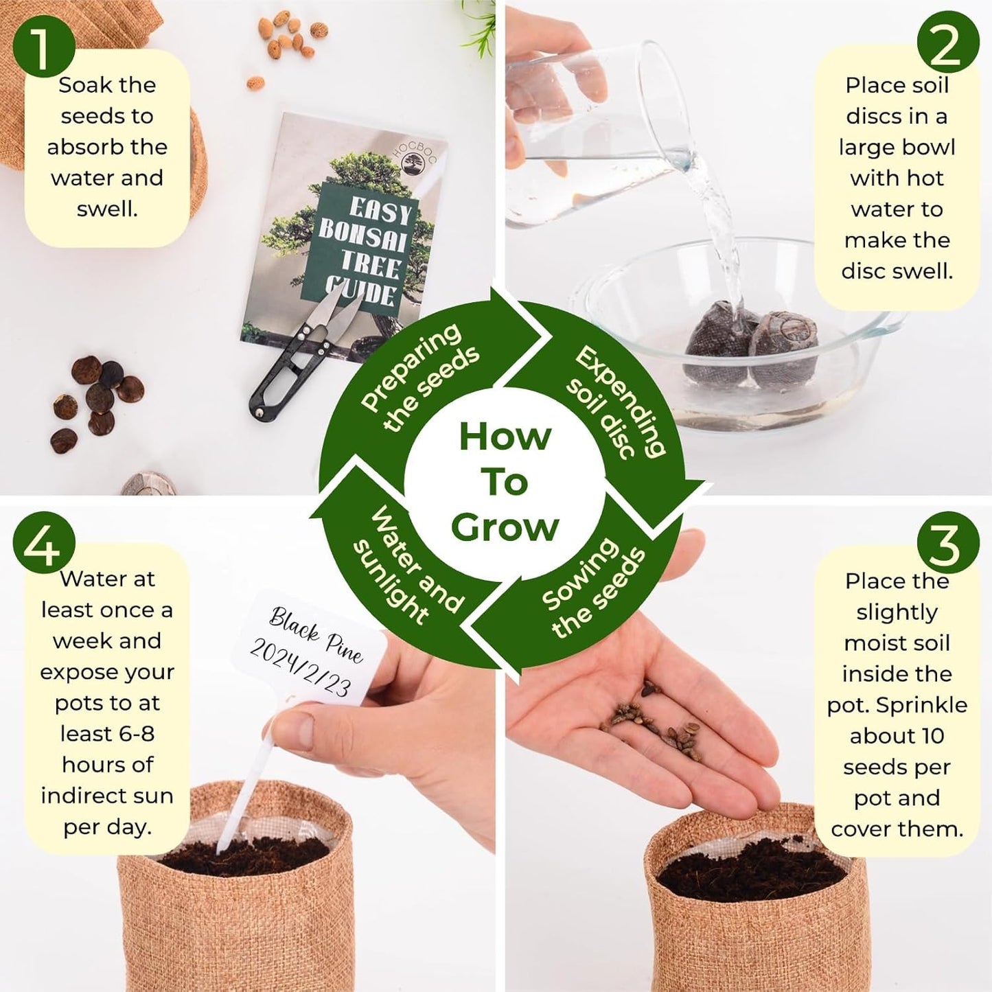 5 Types Bonsai Tree kit - Bonsai Starter Tools Set with Soil, Pots, Scissor, Plant Makers, Grow Tree Indoor, Beginner Plant Gifts for Home Garden, Women, Men