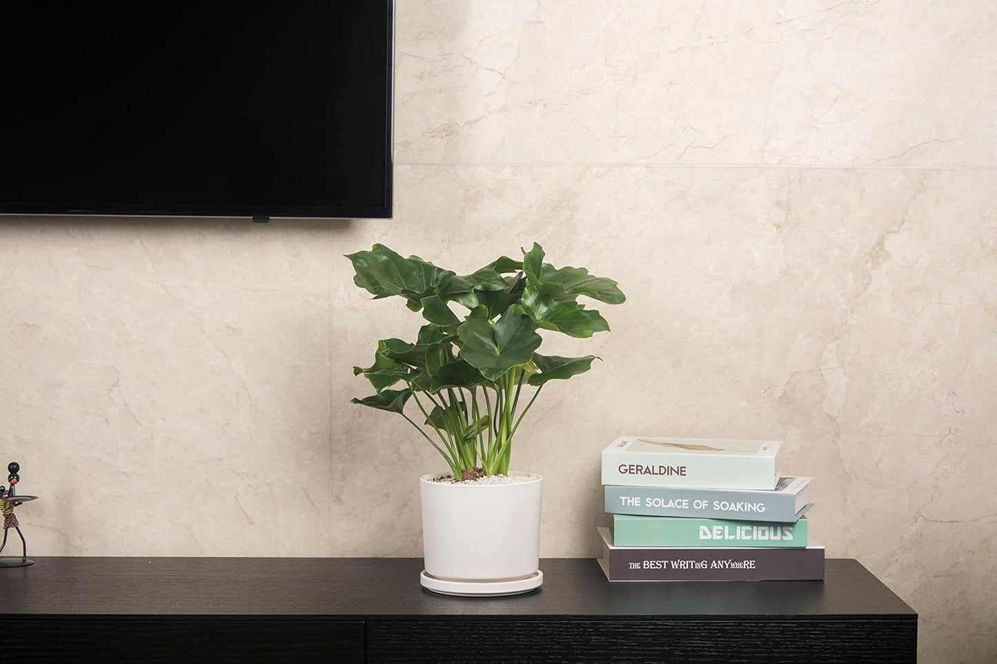 Ekirlin 5 inch Plant Pots,Ceramic Flower Planters Indoor,Modern Succulents Containers with Drain Hole Saucer,Decorate Home,Office & Outdoor (White)