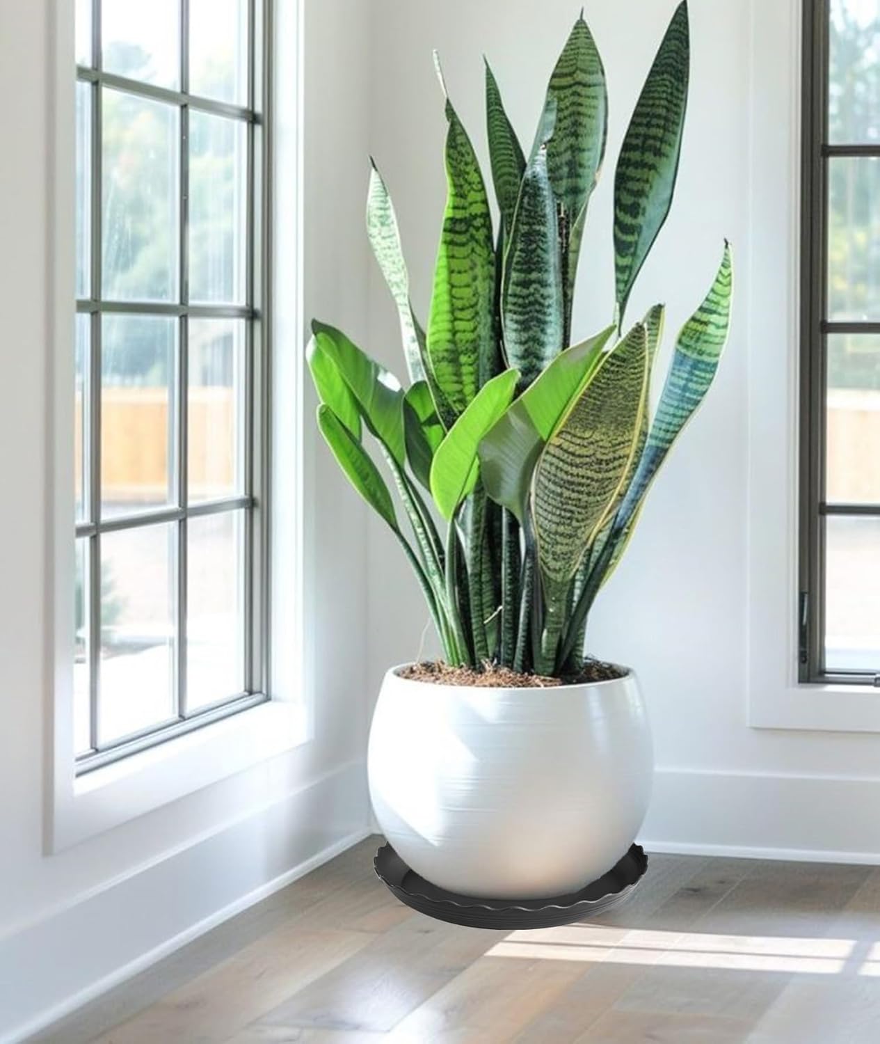 2 Pack of 14 inch Plant Saucer Plant Tray, Plastic Plant Saucer, Heavy Duty Plant Tray for Pots, Plant Saucers for Indoors Planter, Garden Water Plate Bowls for Gallon Grow Bags (Black)