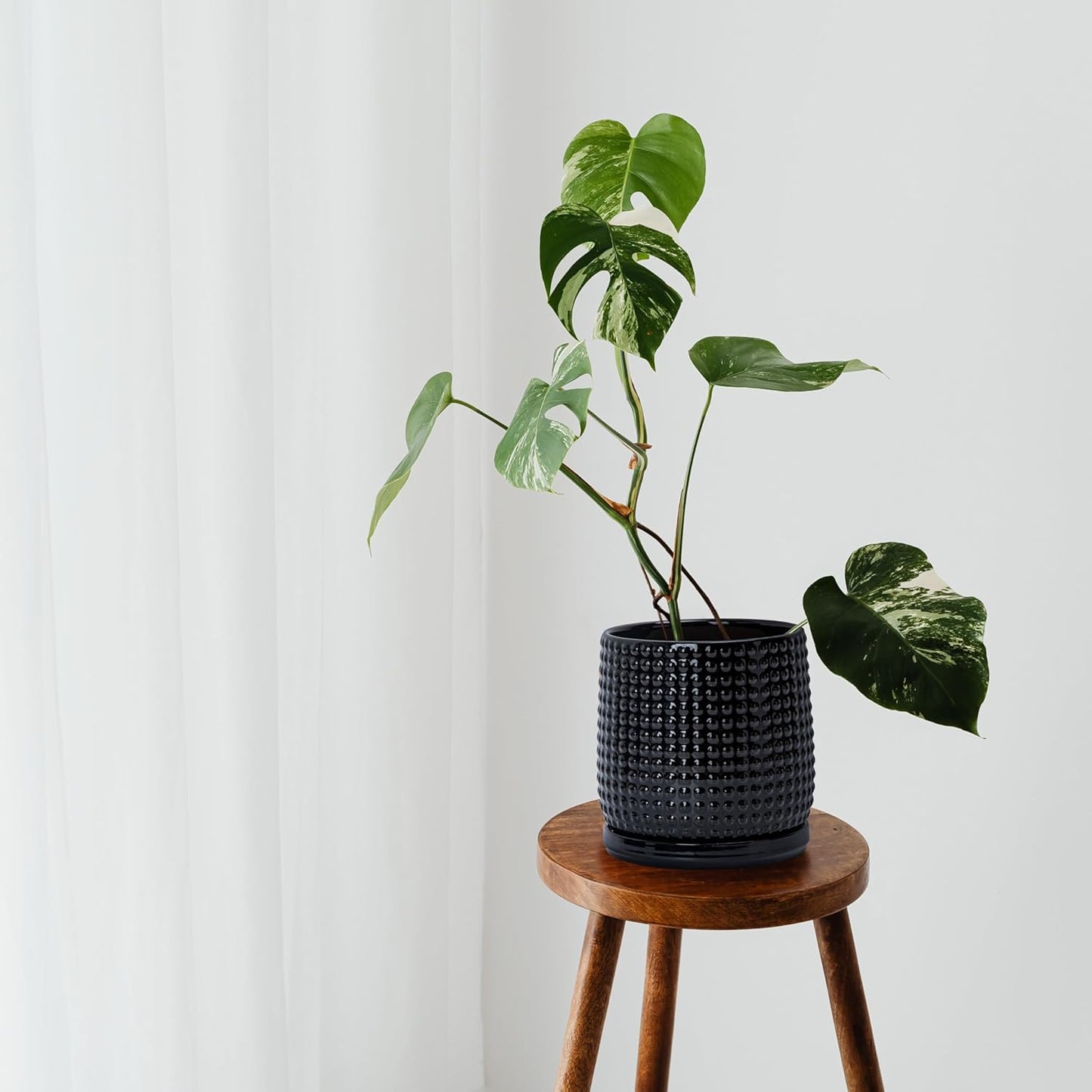 D'vine Dev Set of 2 Ceramic Plants Pots, 6 Inch Beaded Stoneware Flower Pot for Plants with Drainage Hole and Saucer, Glossy Black, 27-E-X-2