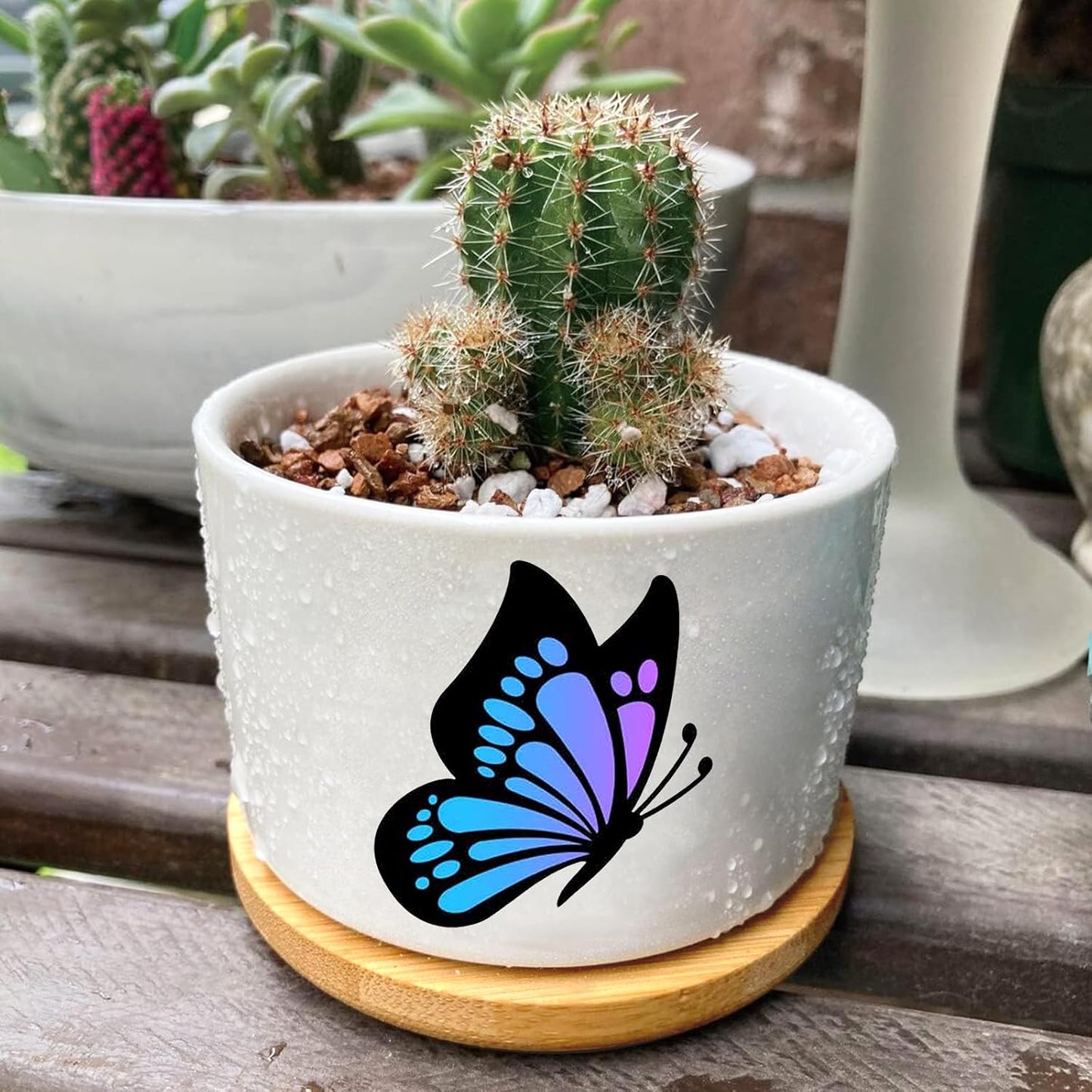 Window Garden Butterfly Planter Pots,Butterfly Gifts for Women/Men/Housewarming/Wedding/Festival Birthday Gifts Planter Pots,Outdoors/Indoors,Window Decor,Garden Decor,Yard Decor,Home Decor,Office