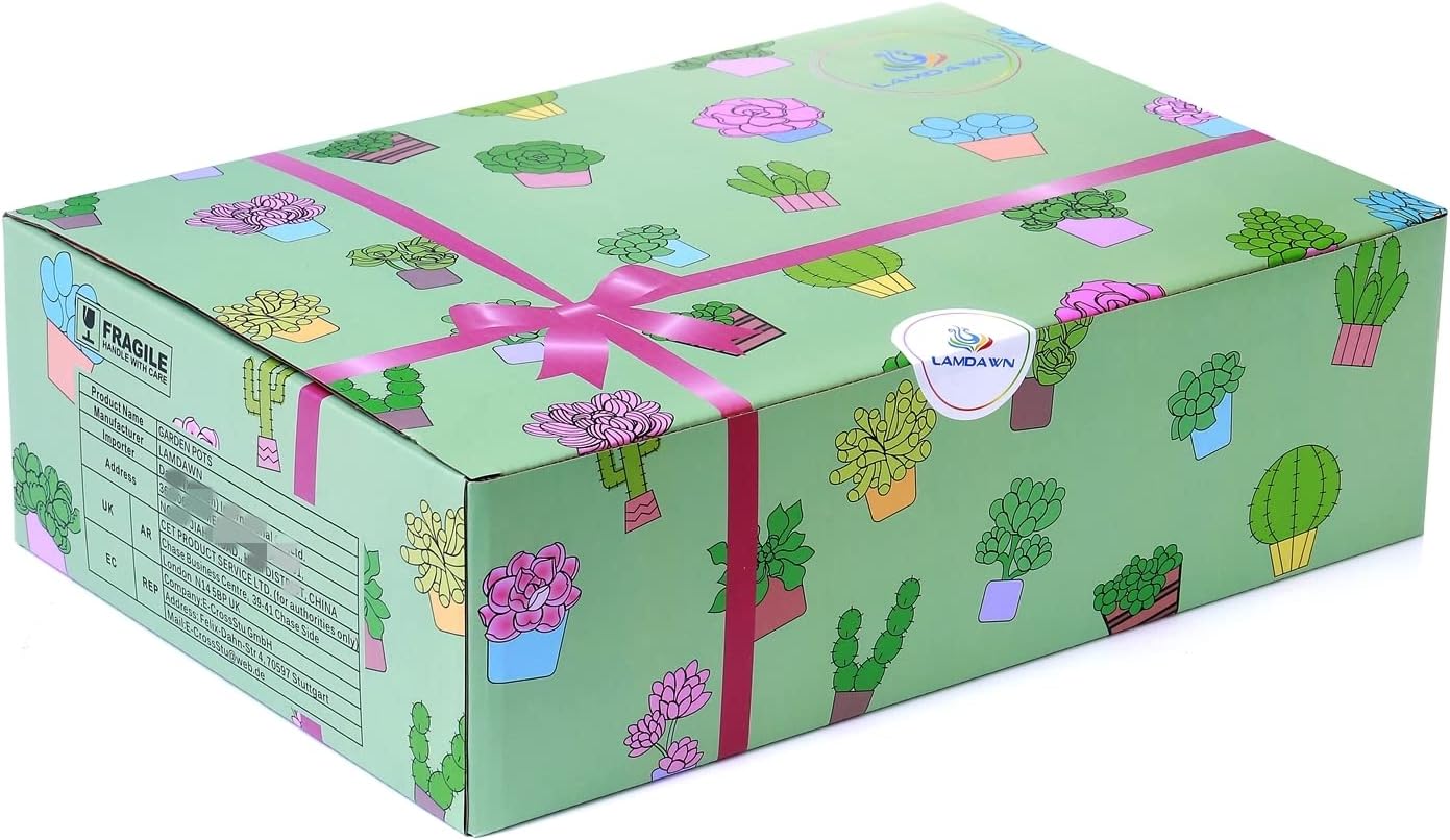 Cute Ceramic Succulent Planters, Garden Pots with Drainage and Attached Saucer, Set of 6 - Plants Not Included