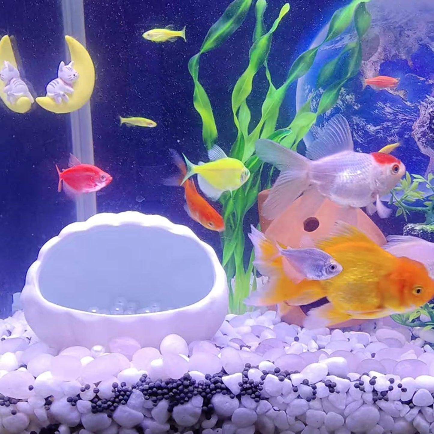 10 lbs White River Rocks for Garden, 0.5-1 Inch Pebbles for Indoor Plants, Decorative Stones for Landscaping, Succulent, Vases, Aquariums and Zen Garden