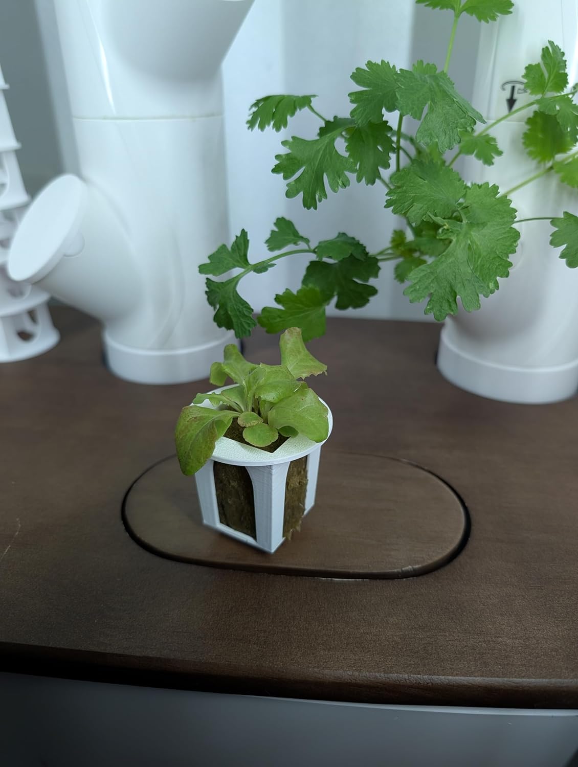 Grow Cubes for Hydroponic System/Compatible with Gardyn (15 Grow Cubes)