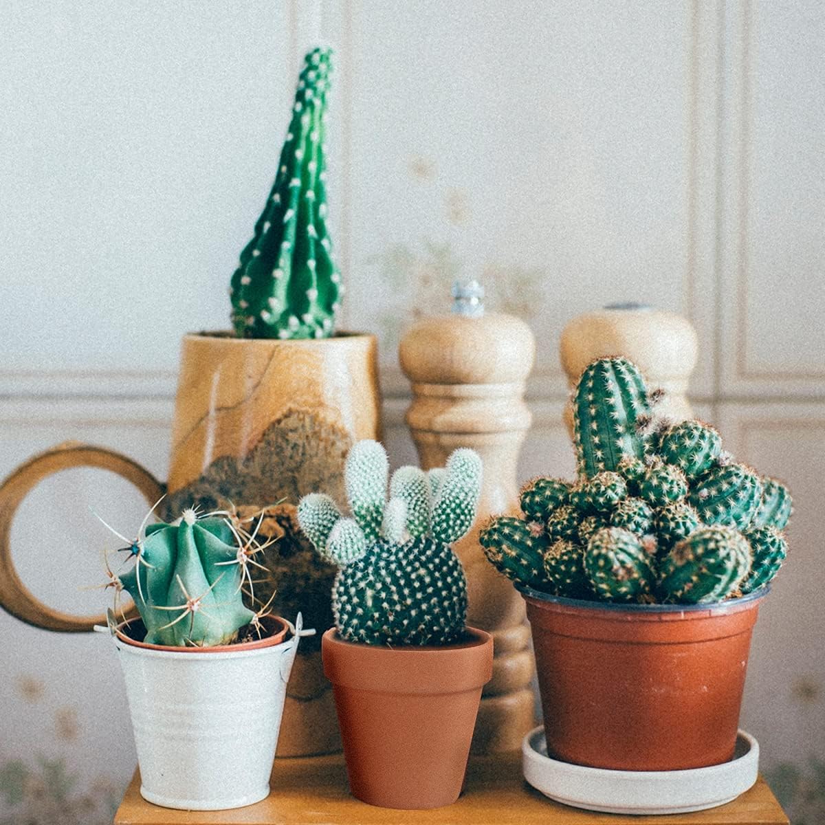 3 Inch Terracotta Pots - 22Pack Clay Flower Pots with Drainage Hole, Succulent Nursery Pot/Cactus Plant Pot. Great for Plants, Crafts, Wedding Favorn, DIY Production