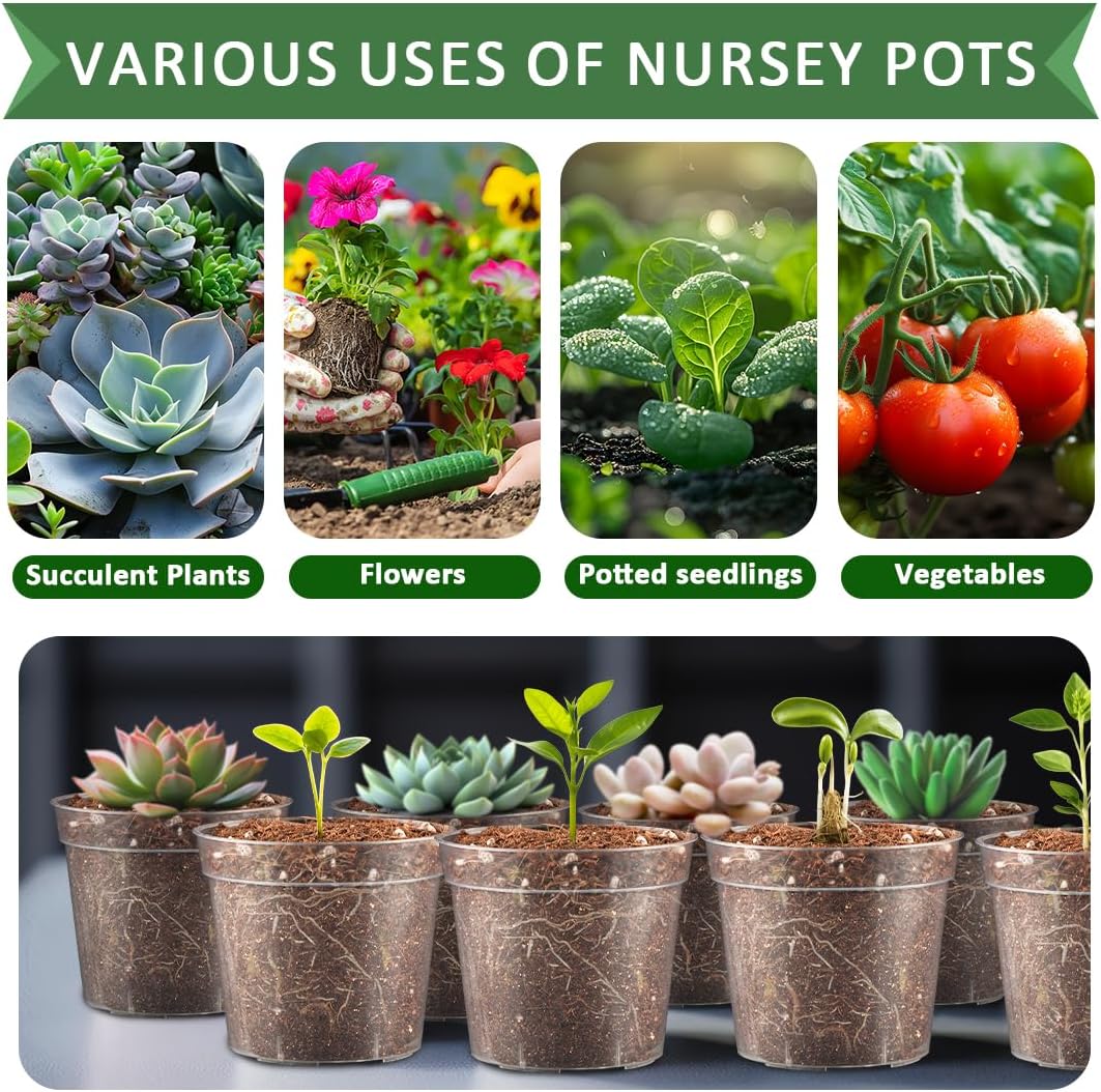 2.5" Clear Seeding Pots 100-Pack Round for Seeds Starter Pots, Seeds Germination Transparent Nursery Pot with Drainage Holes (2.5Inch,100Pcs,Clear)