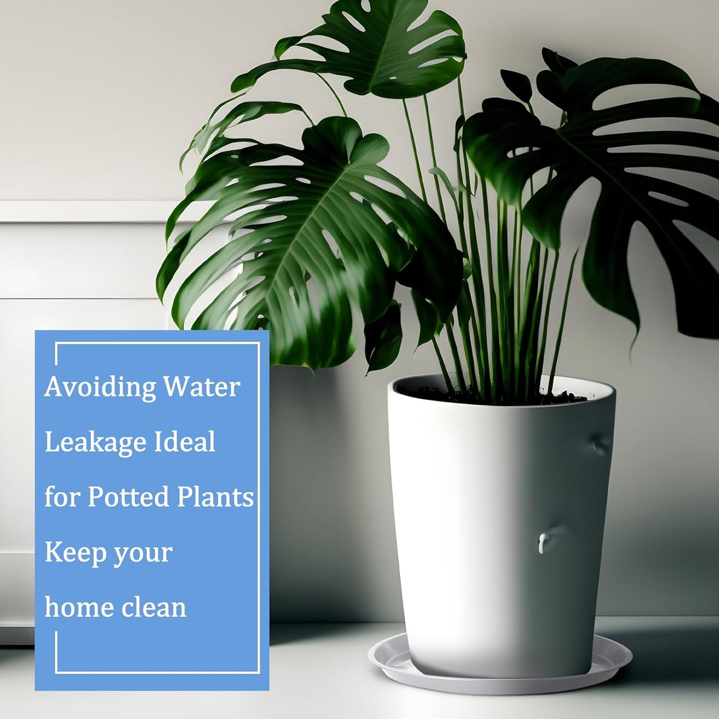 Eccliy 6 Pack Plastic Plant Saucer Heavy Duty Planter Saucers Large Plant Pot Saucers Plastic Water Trays for Indoors and Outdoors Flower Plant Plant Drip (White,20 Inch)