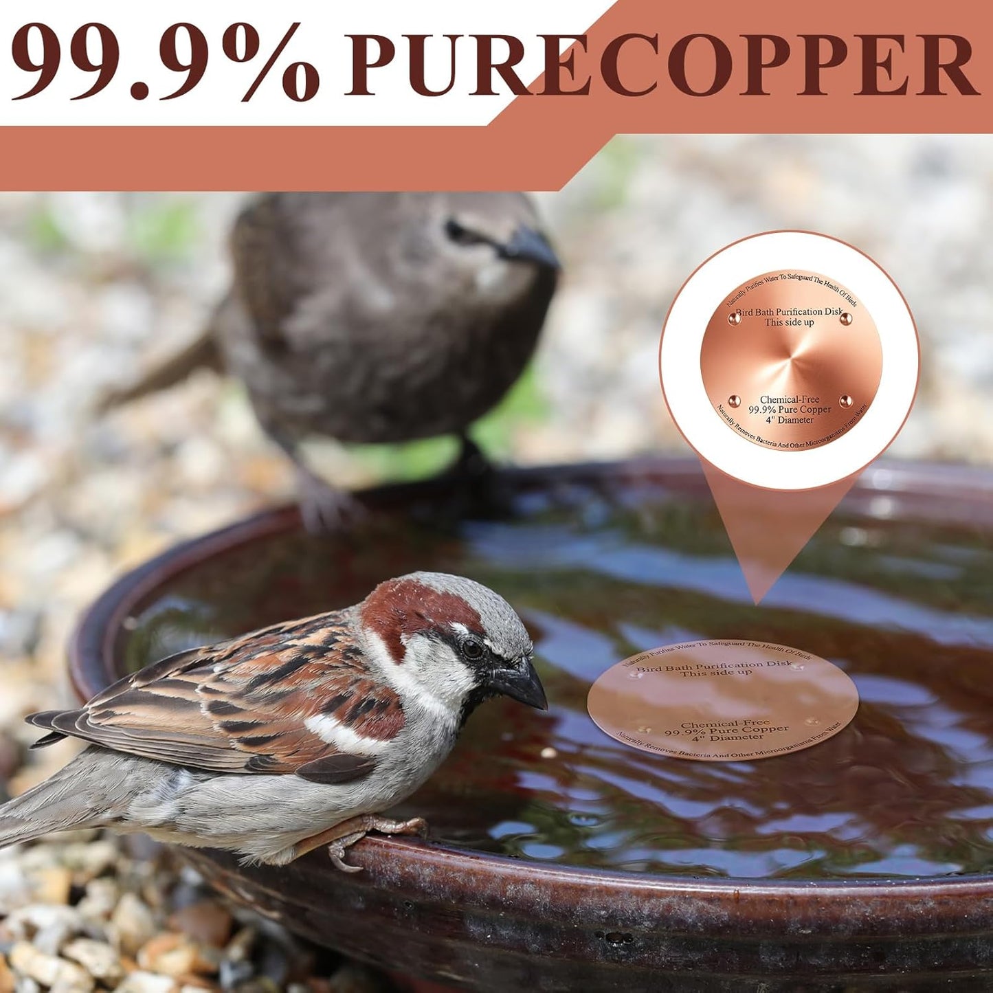 2 Pcs Bird Bath Copper Disk, 0.6mm Thick Reinforced 99.99% Pure Copper Birdbath Purification Disk, with 4 Point Support for Outdoor Birdbaths Bowls Cleaner, 4 Inch (Classic)