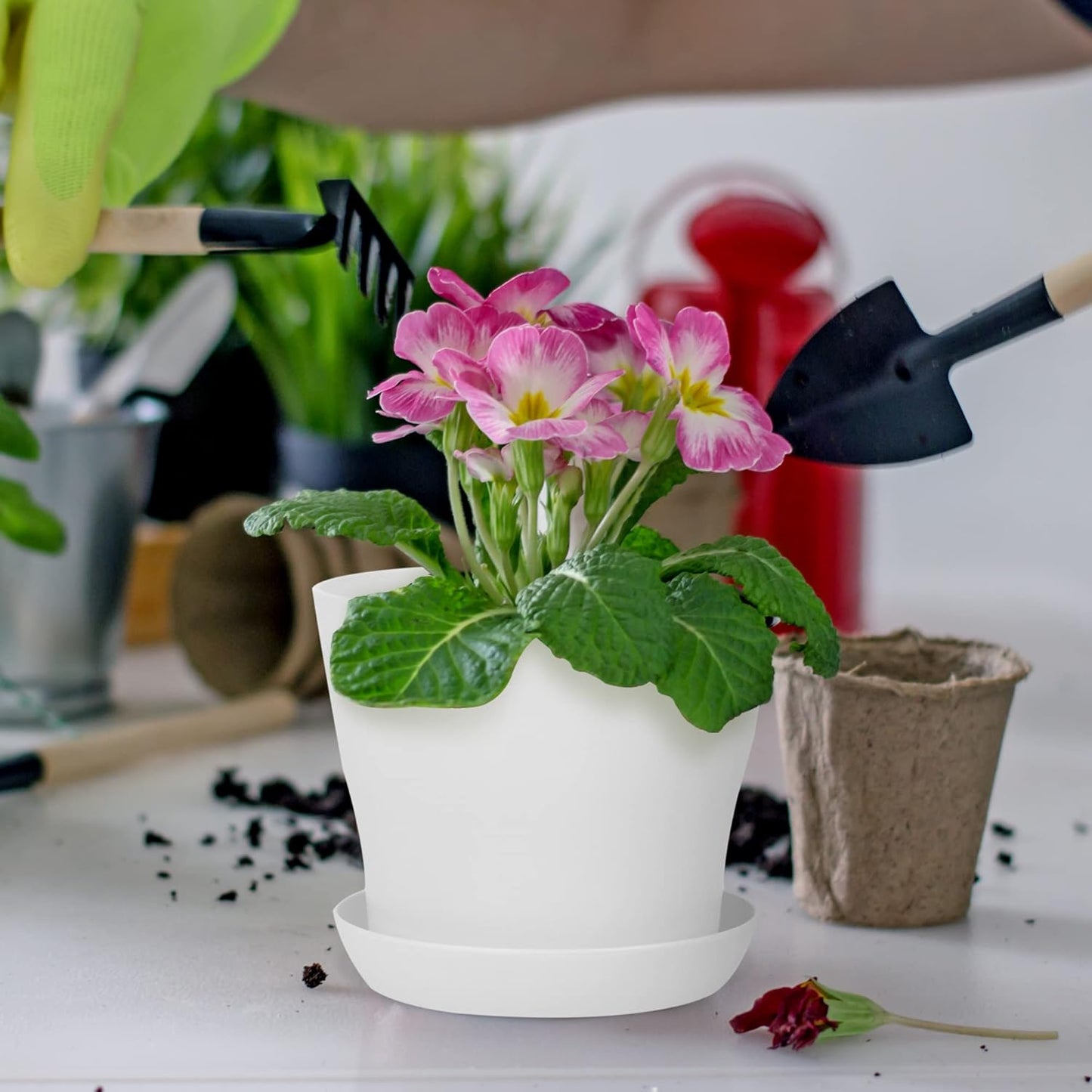 36 Pack Plants Nursery Pots 4 Inches Plastic Flower Plant Pots Thickened Seedlings Nursery Pots with Tray White Flower Pots Gardening Plant Containers for Outdoor Indoor