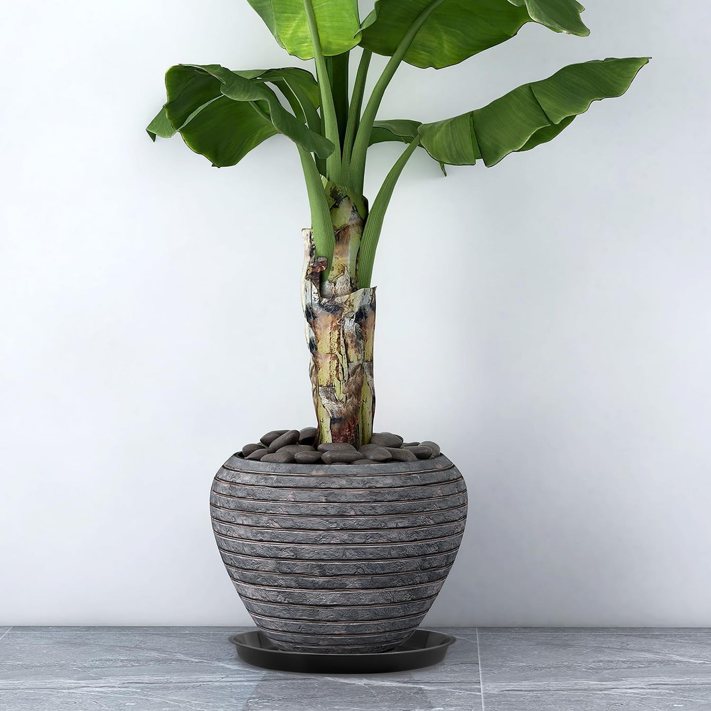 Kichwit 4 Pack 11.75 Inch Plant Saucer, Round Plastic Plant Trays for Indoor & Outdoor (Black, 11.75 Inch)