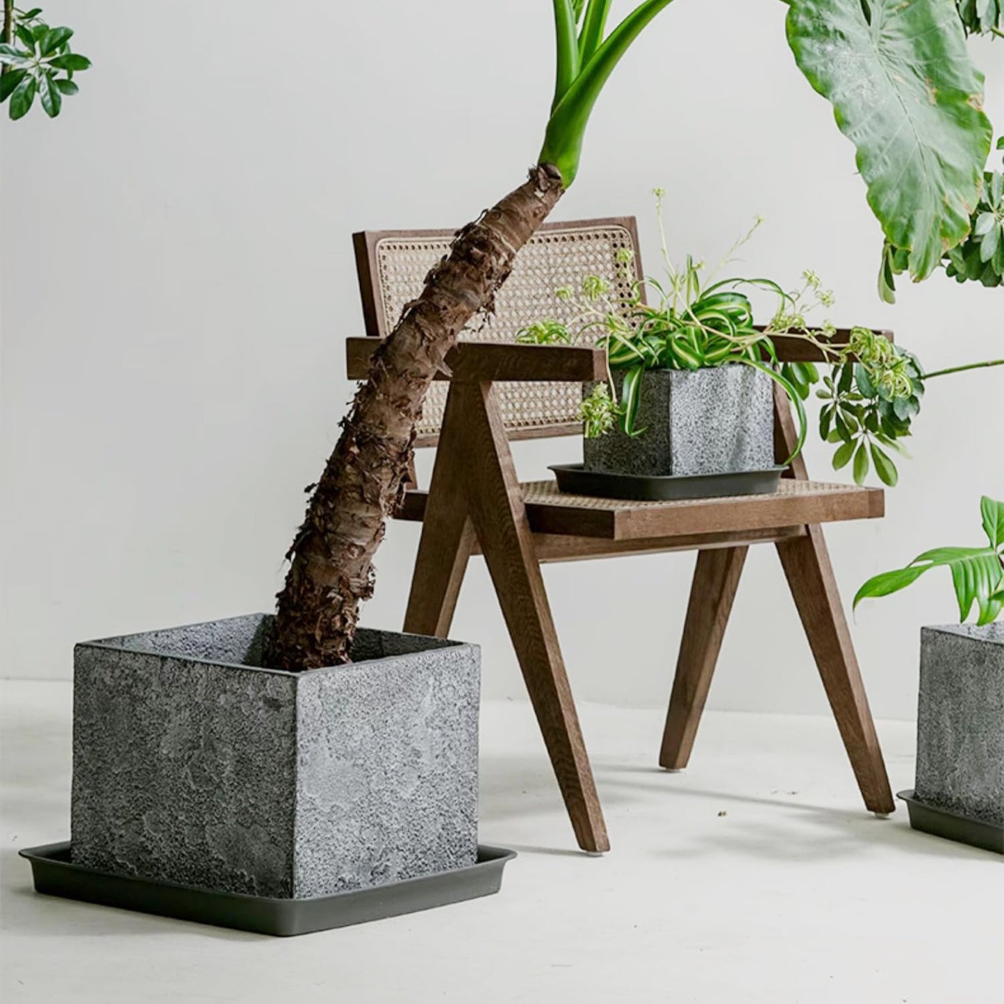 Square Plant Saucer 18 Inch 2 Pack, Plastic Plant Saucer, Garden Large Deep Plant Trays for Pots, Heavy Duty Plant Pot Saucers, Planters for Indoors and Outdoors Plants Black.