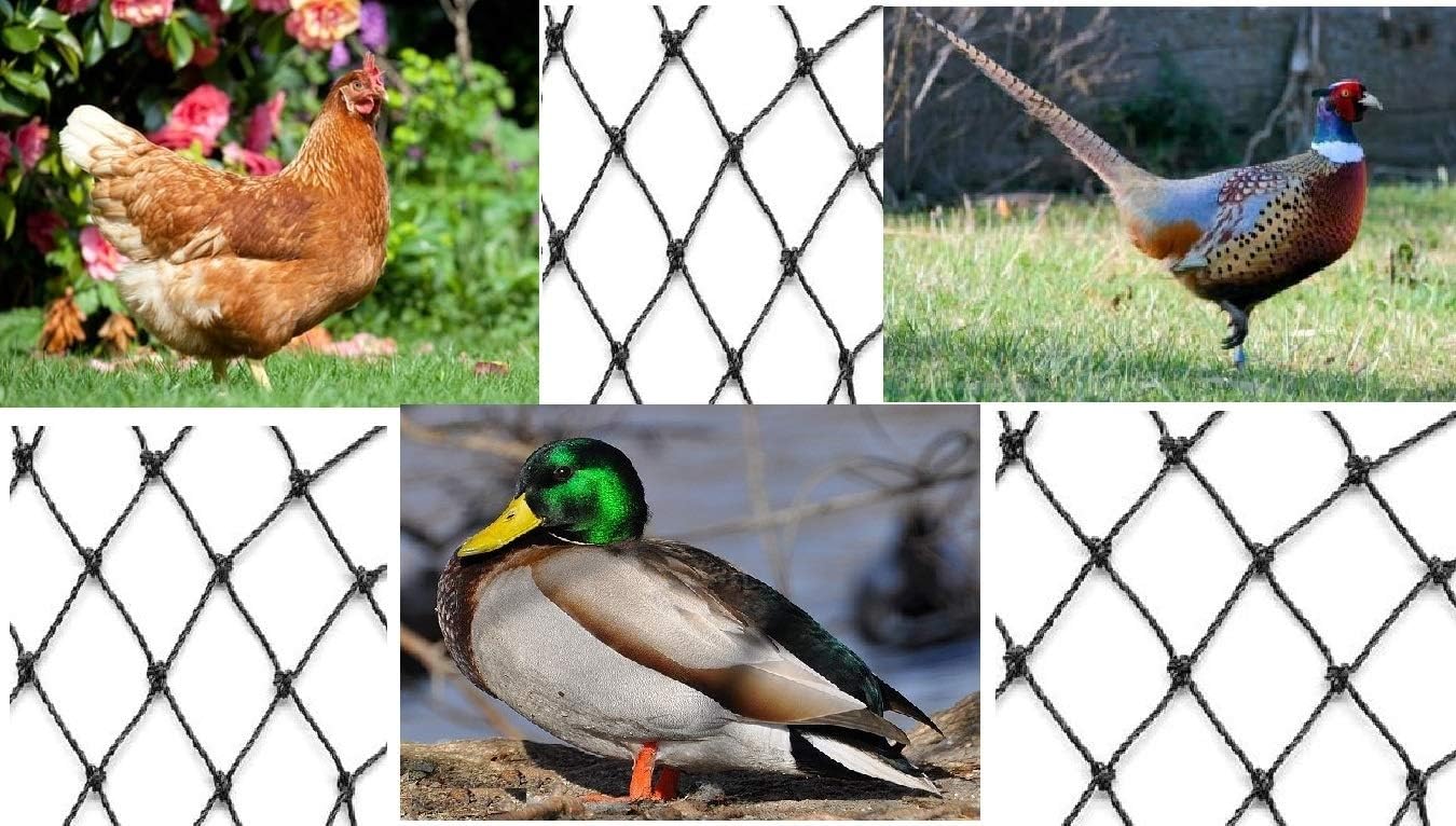 Aviary Netting Heavy Knotted 2 inch Poultry Net (12.5 ft x 150 ft)