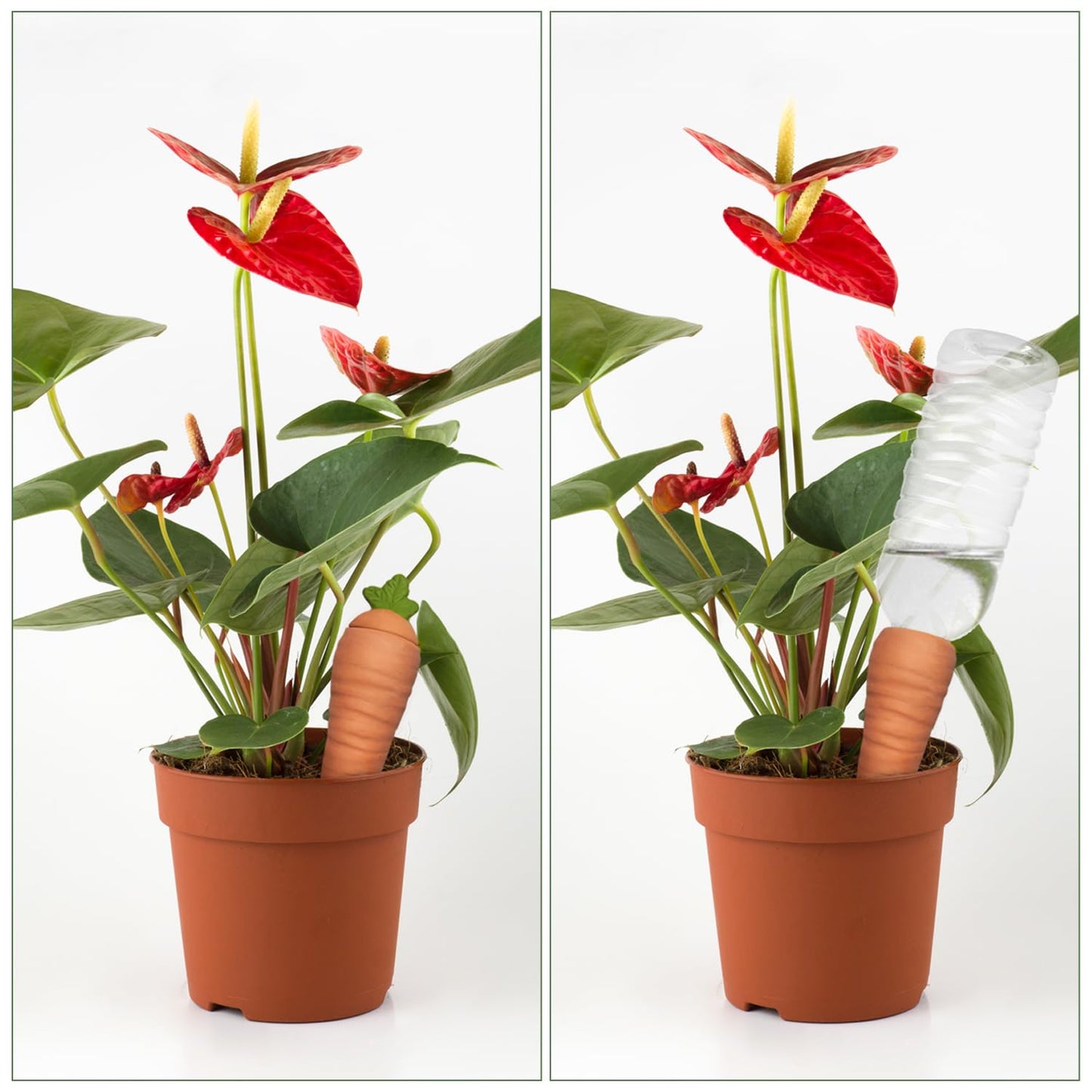 4 pcs Terracotta Watering Spikes - Automatic Self-Watering Stakes, Vacation Plant Waterer for Wine Bottle, Perfect for Indoor & Outdoor Plants