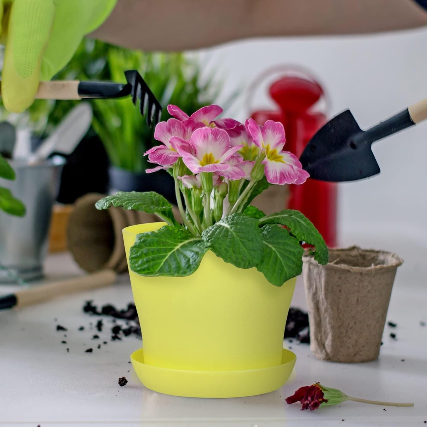 36 Pack 4 Inch Plastic Plant Pots with Saucers Colorful Flower Plant Container Seed Starting Pots Thickened Seedlings Nursery Pots for Home Garden Indoor Outdoor Flowers, 9 Colors