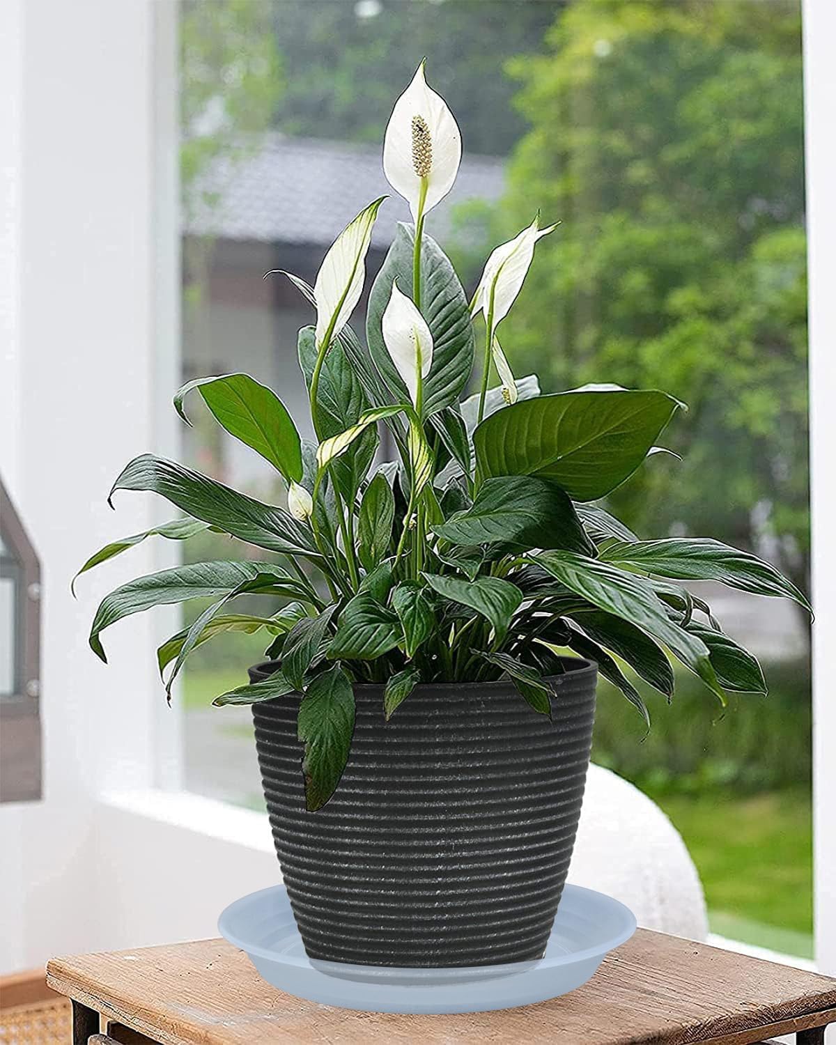 2 Pack Clear Plant Saucer Drip Tray 11 12 inch, Pot Base for Plants Indoor, Plastic Flower Planter Saucers and Drip Trays for, Heavy Durable Plant Plate Water Catcher (12", Clear)