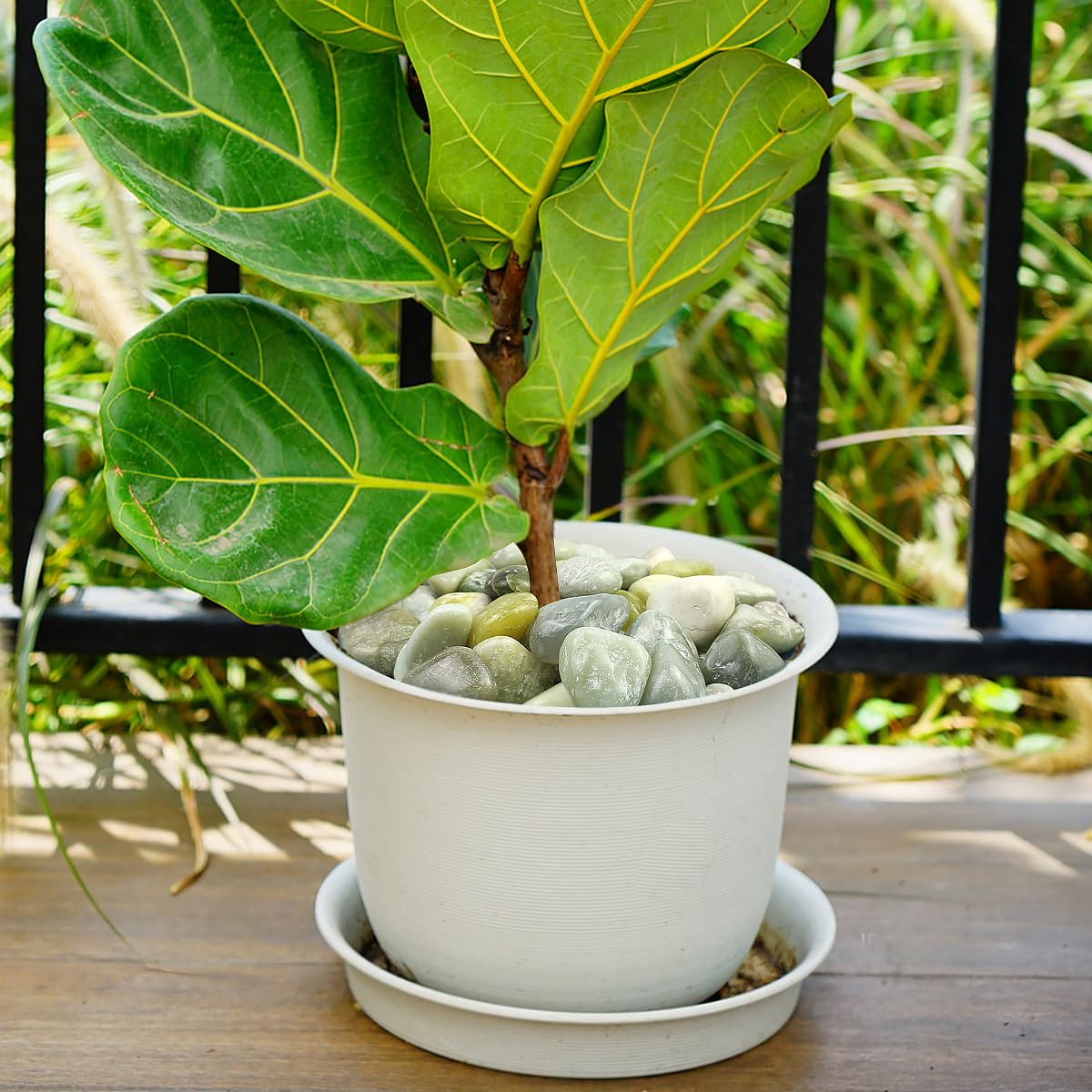 20lbs Jade River Rocks for Landscaping, 2-3 Inch Natural Pebbles for Indoor Plants, High Polished Decorative Stones Vase Filler Fish Tank Aquariums Garden Outdoor and Indoor DIY