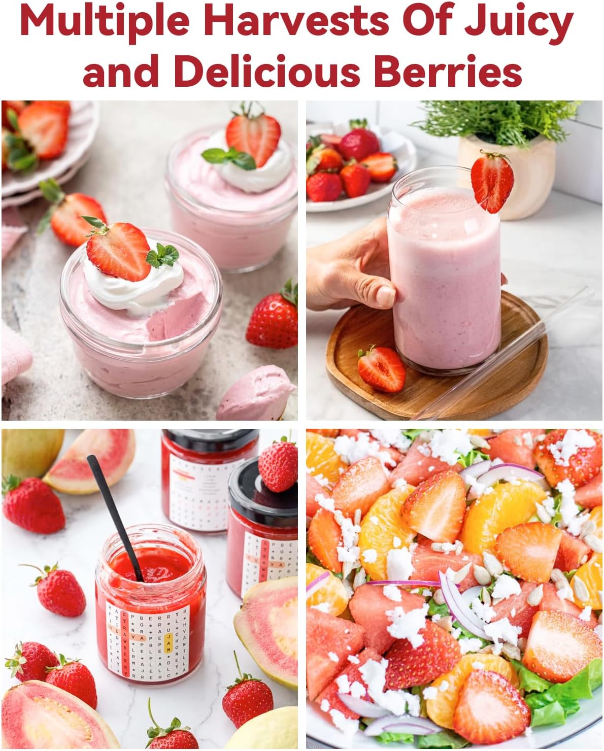 LYKOCLEAN Hydroponic Seed Pod Kit Compatible with AeroGarden, Ahopegarden, iDoo, MUFGA, 24 Pods Complete Growing Anything Garden Supply with Strawberry Seeds, Grow Sponges, Baskets, Domes, Labels