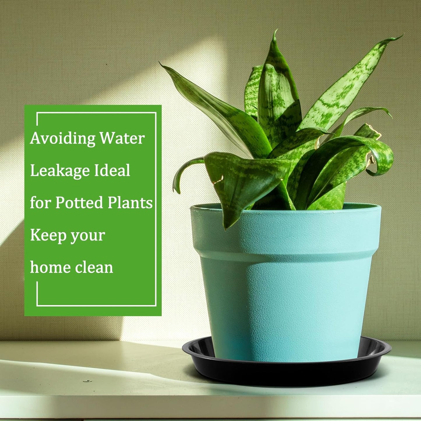 Eccliy 6 Pack Plastic Plant Saucer Heavy Duty Planter Saucers Large Plant Pot Plastic Water Trays for Indoors and Outdoors Flower Drip (8 Inch,Black)