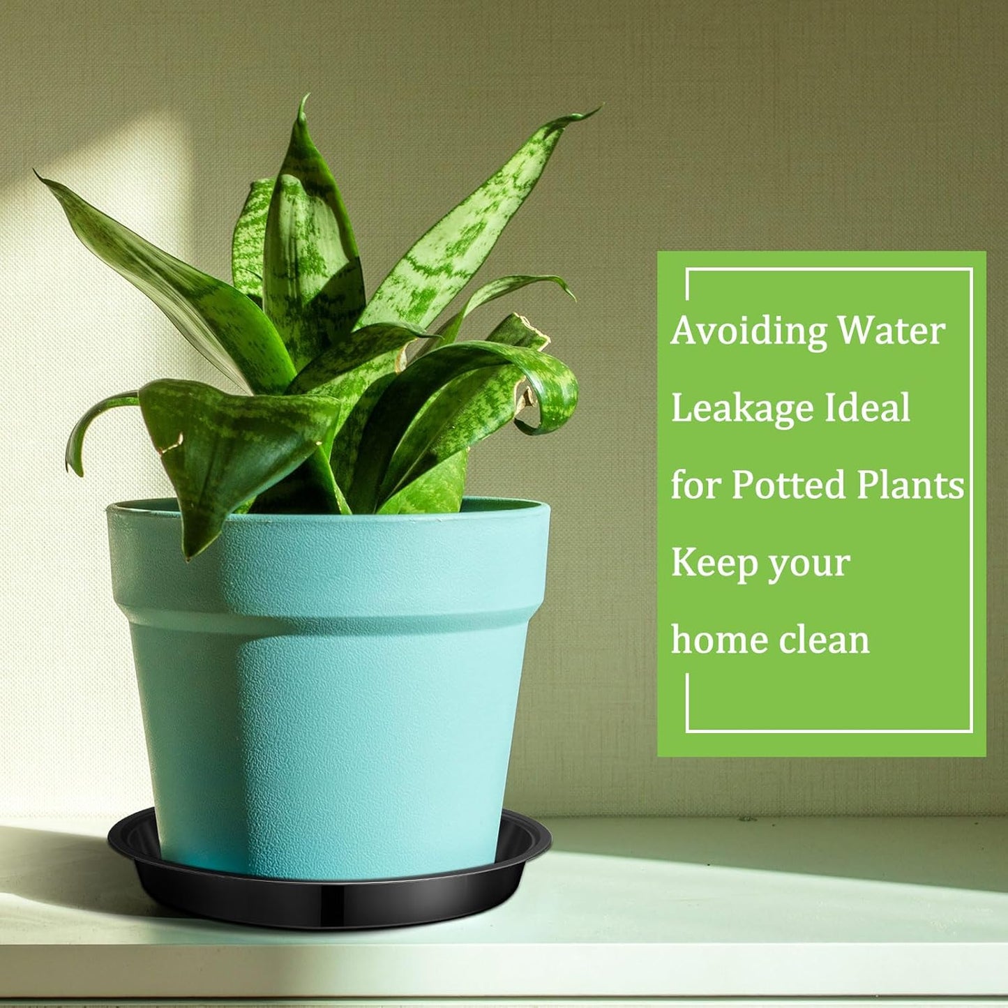 Eccliy 12 Pcs Plastic Plant Saucers Round Plant Tray Large Flower Pot Heavy Duty Planter Water Trays Thick Planter Drip Saucers for Indoors and Outdoors(6 Inch,Black)