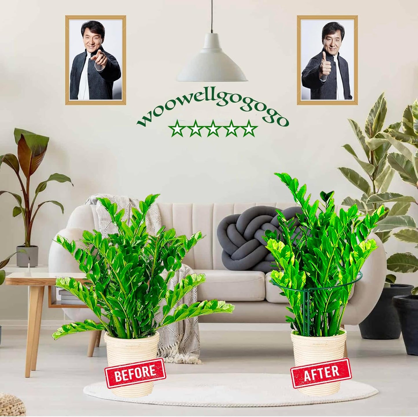 4 Pack Snake Plant Support Stakes, Peony Cages and Supports, Heavy-Duty Plant Stabilizer Support, Hydrangea Support Cage, Dahlia Support Ring, Plant Support Stake for Indoor and Outdoor Potted Plants