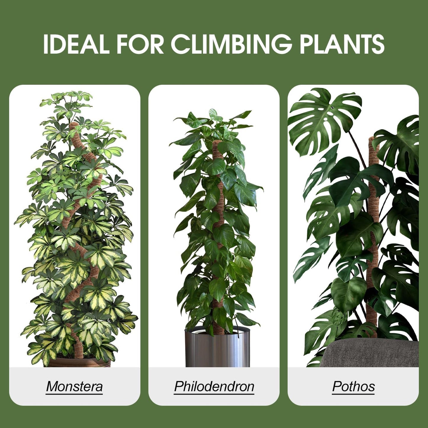 Handmade Coco Coir Moss Pole - 48 Inch Bendable Sticks Support for Climbing Plants, Monstera, Indoor Plants to Grow Upwards