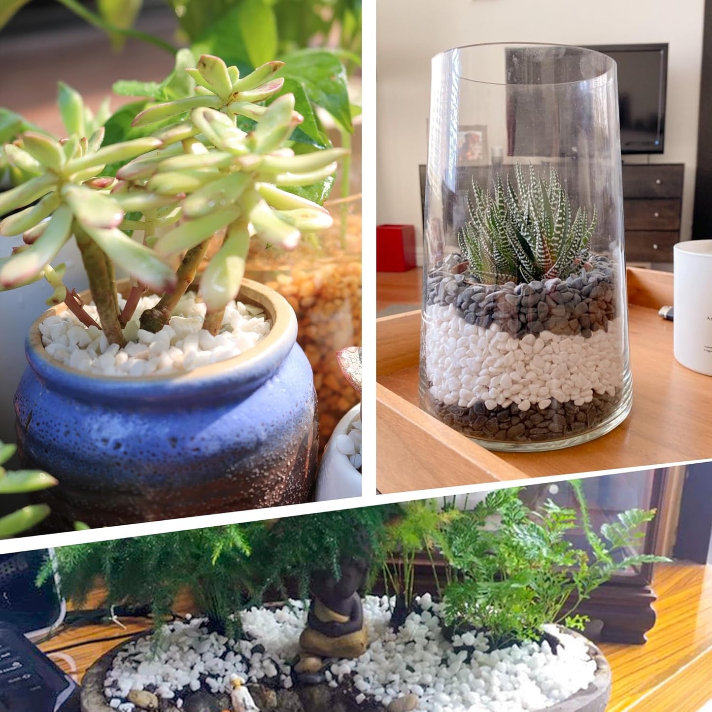 45lb White Cactus Pea Gravel Rocks,1/4 Inch Pebbles for Indoor Plants, Natural Succulent Rock and River Rocks Decorative for Aquariums, Vases, Outdoor Gardening, Top Dressing for Potted Plants