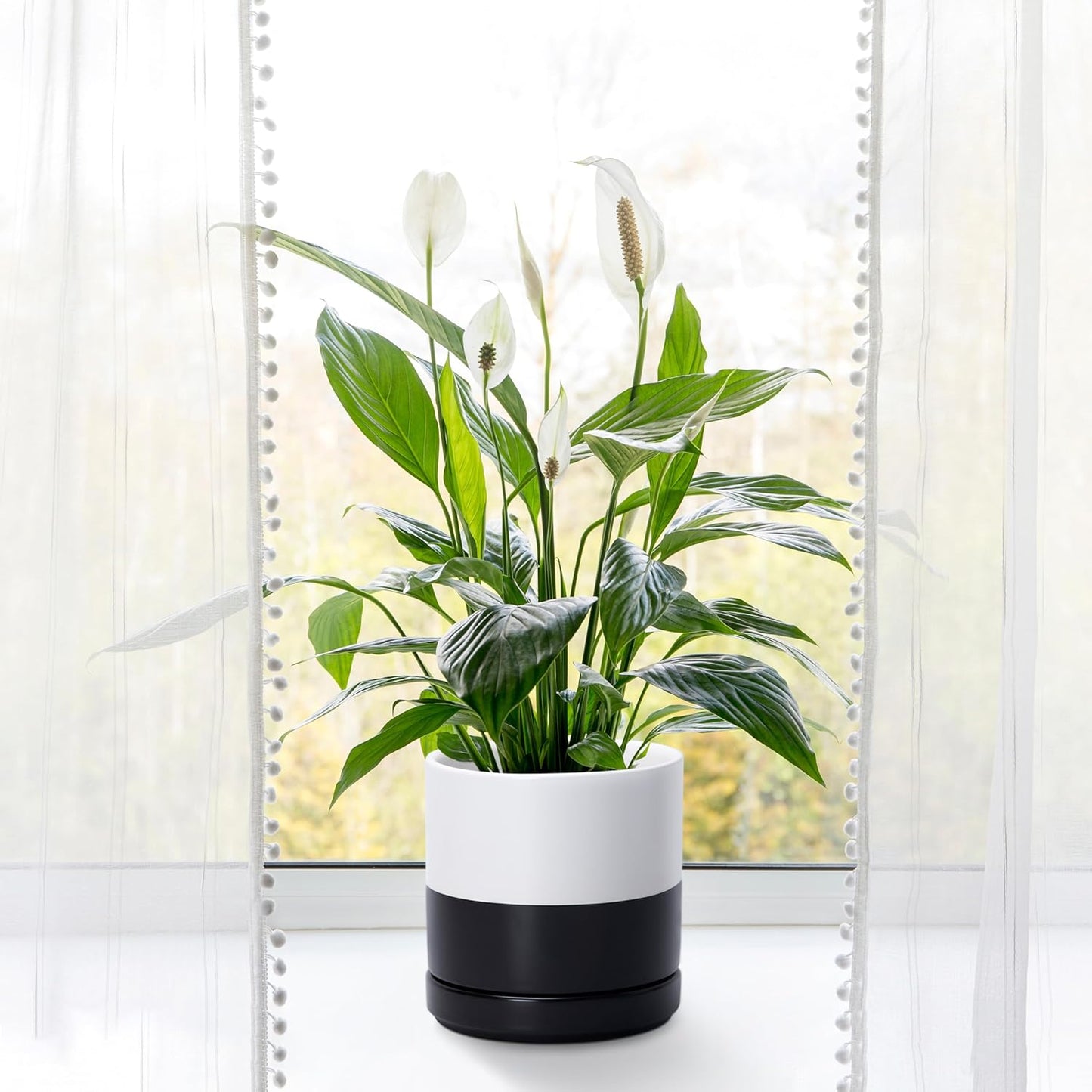 D'vine Dev 6.5 Inch Ceramic Planter Pot with Drainage Hole and Saucer, Indoor Cylinder Round Planter Pot, Layered Monochrome Black & White, 94-O-C-L