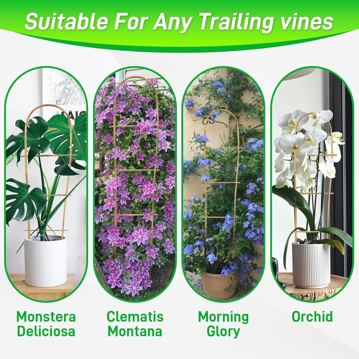 10 Pack 4ft U-Shape Bamboo Trellis for Climbing Plants, Natural Garden Trellis for Tomatoes, Cucumbers, Potted Plants, Vegetables Indoor Outdoor