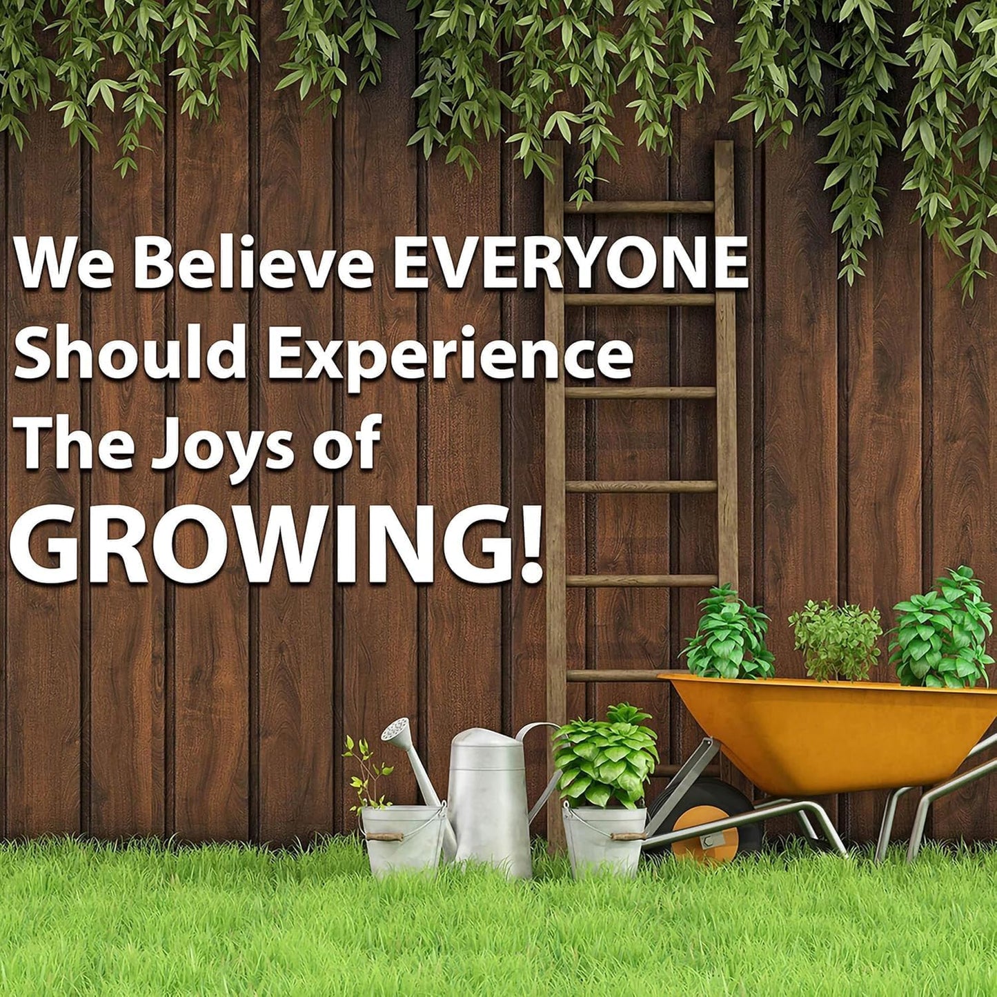 Thai Ornamental Hot Pepper 0.25 Oz ~3,000 Seeds – Non-GMO, Heirloom, Open-Pollinated – 50K–100K SHU – Compact, Upright Plants – Edible & Decorative – Heat-Tolerant