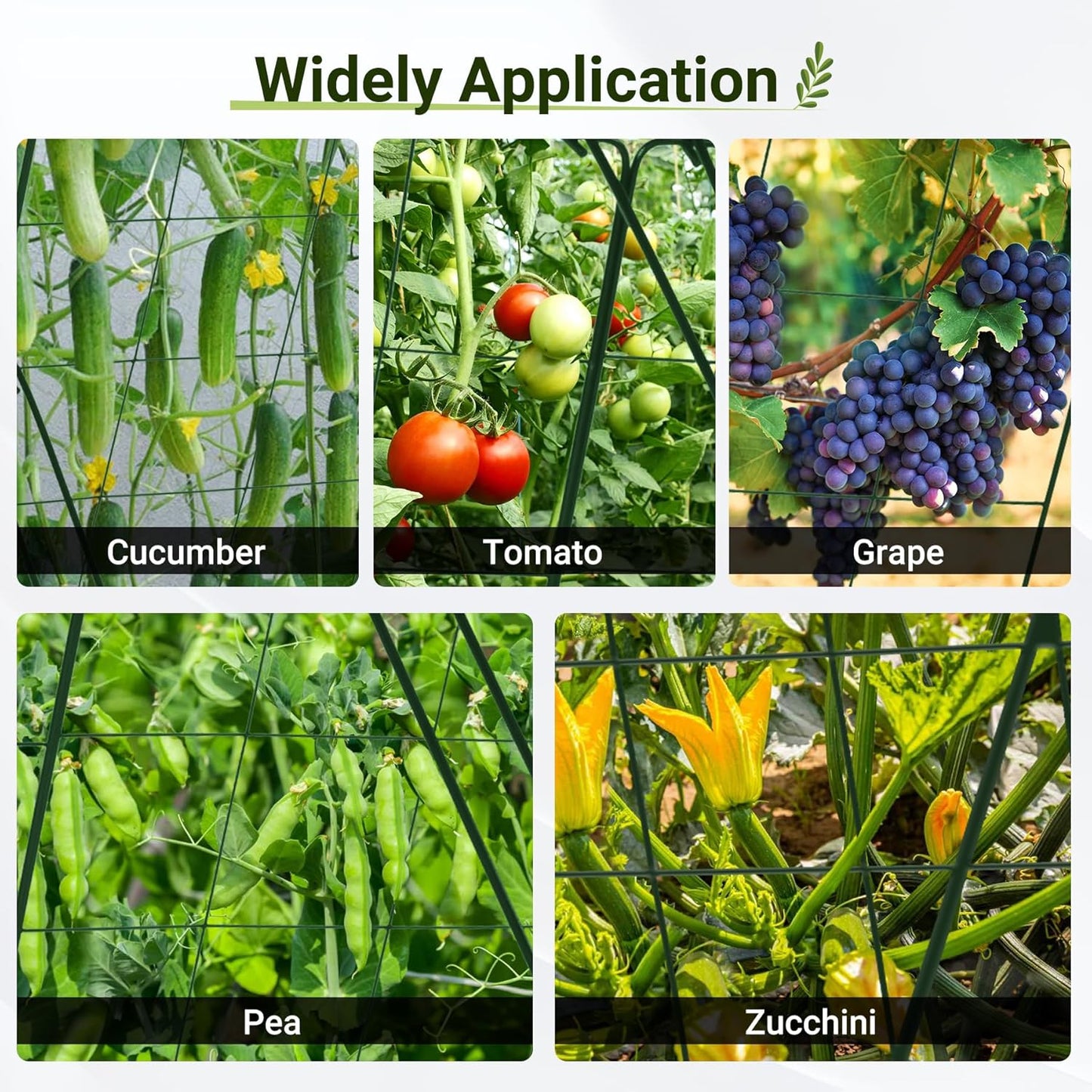 Cucumber Trellis for Raised Bed, 48" L x 48" W Garden Trellis for Climbing Plants Outdoor with Support Structures, A Frame Trellis for Climbing Vegetables Peas, Vine, Bean