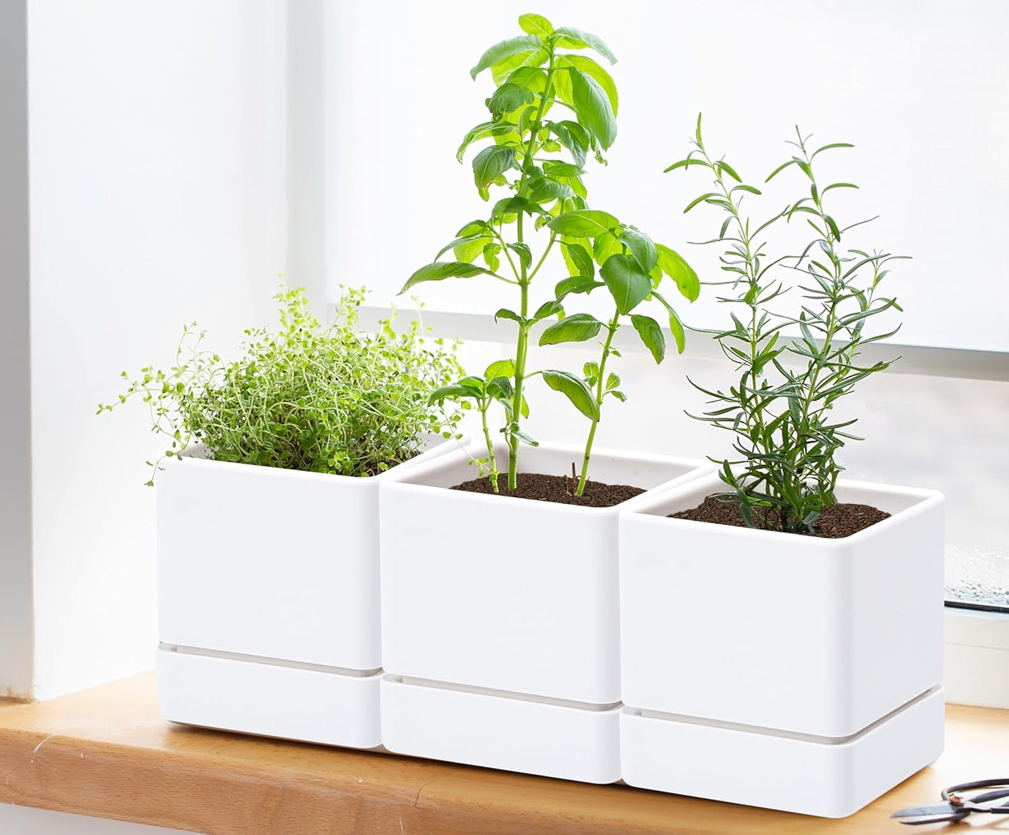 4 Inch Herb Planter Pot, Plastic Planter with Drainage Holes and Saucer, Modern Decorative Gardening Pot for Indoor Plants, Flowers, Herbs, Succulents, White, Set of 6, 76-Y-A-6