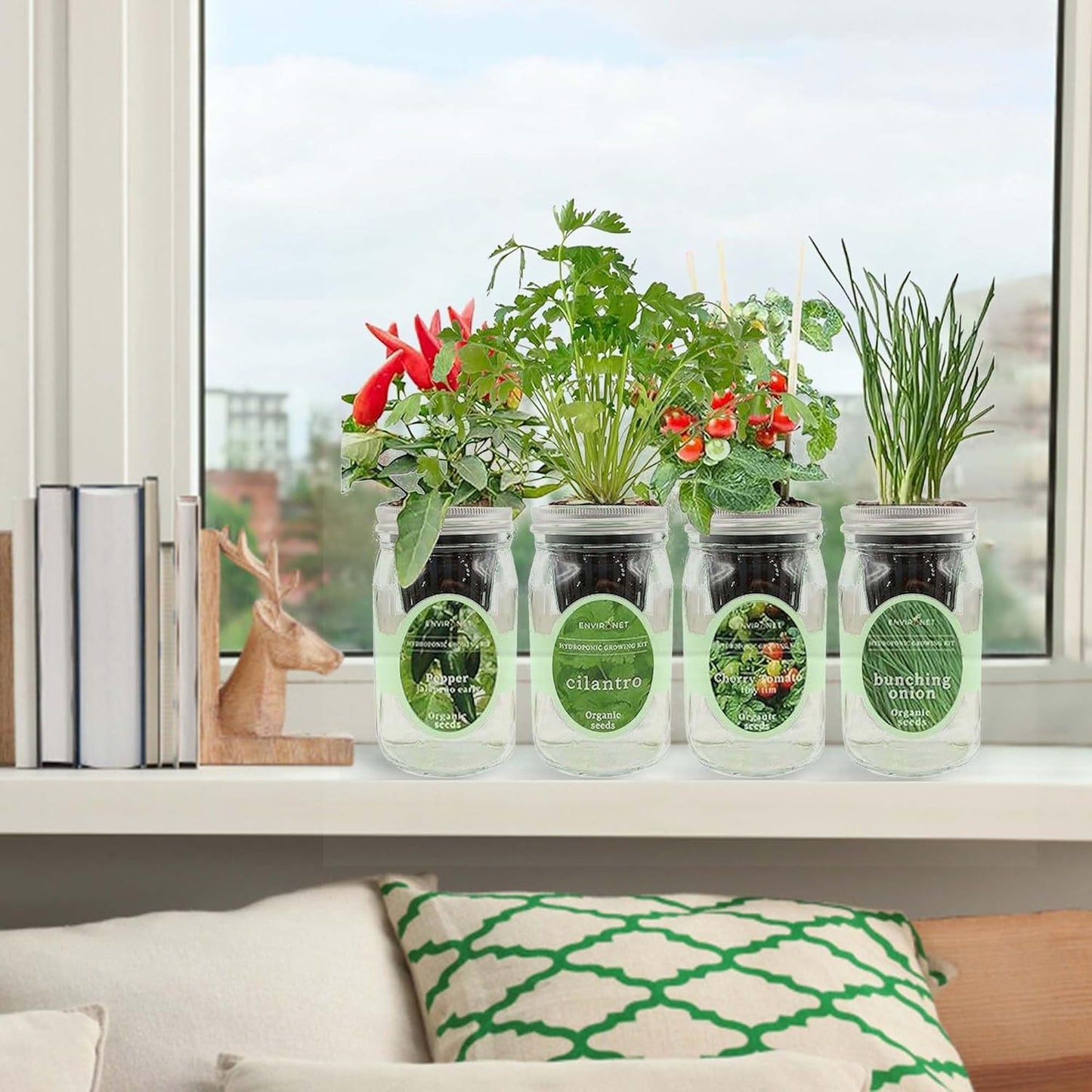 Hydroponic Mason Jar Indoor Garden Organic Seed Starter Kits - Zesty Salsa Growing Kits, Gardening Gift (Jalapeno Pepper, Cilantro, Cherry Tomato - Tiny Tim, Bunching Onion)