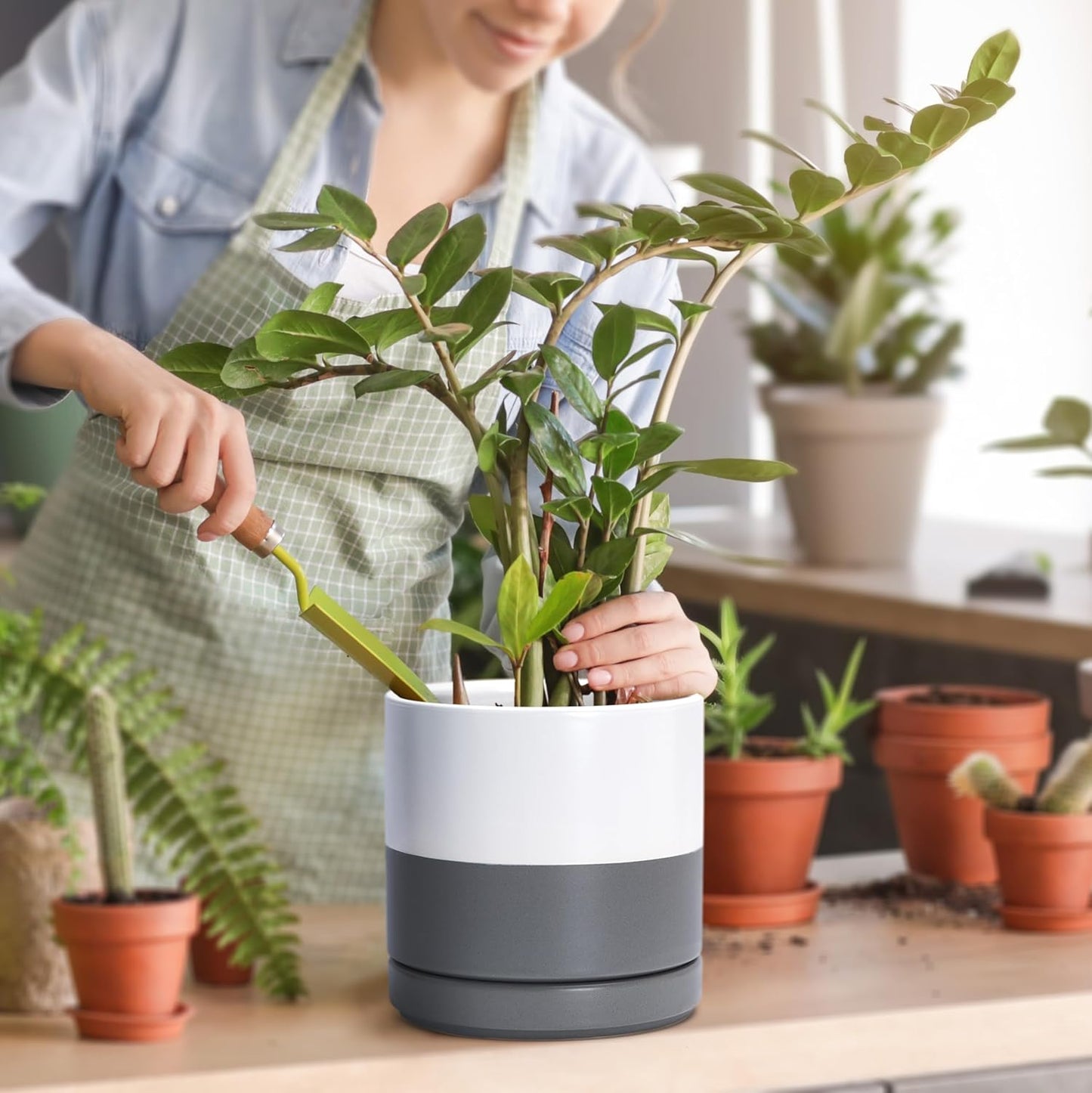 D'vine Dev Set of 2 Plants Pots, 6.5 Inch Ceramic Planter Pot for Plants with Drainage Hole and Saucer, White/Speckled Grey, 94-V-C-6