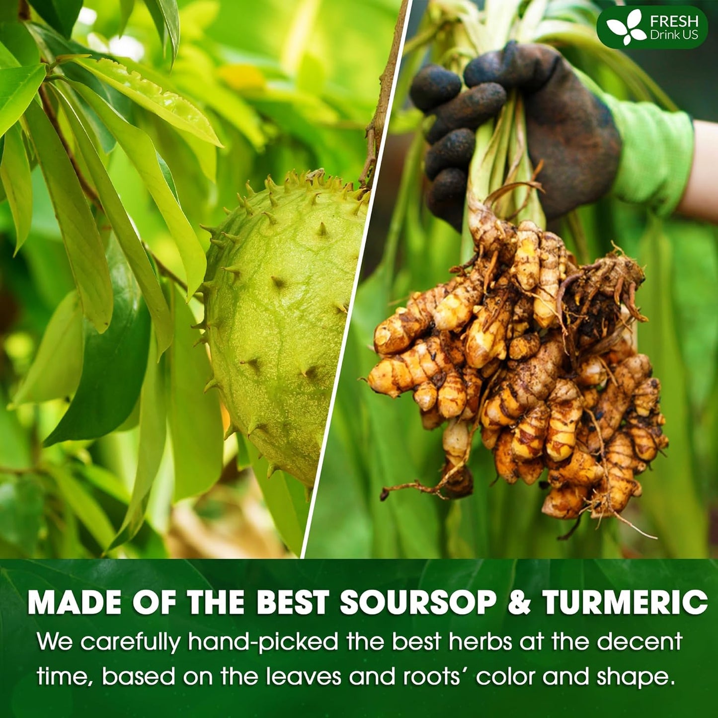 FreshDrinkUS, Premium 60 Soursop Turmeric Tea Bags, 100% Natural, Blend of Soursop Leaves, and Turmeric Root. Made with Natural Material Tea Bags. No Sugar, Vegan.