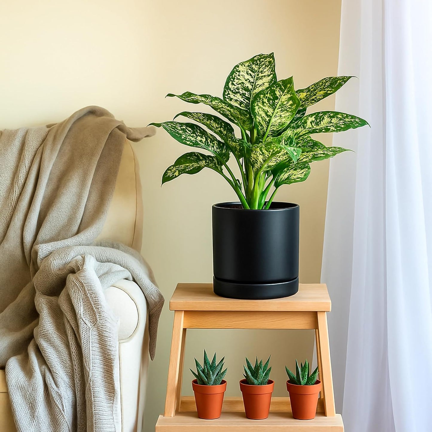 D'vine Dev Set of 2 Plants Pots, 8.2 Inch Ceramic Planter Pot for Plants with Drainage Hole and Saucer, Black, 94-V-D-2