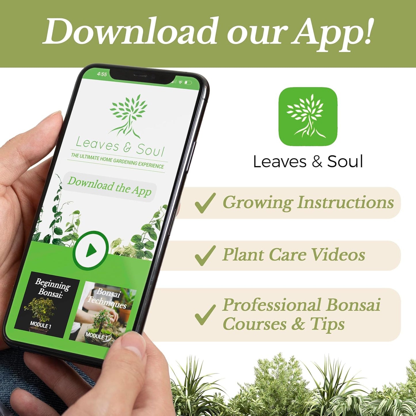 Fiddle Leaf Fig House Plant Soil Premium All Purpose Blend | Large 2.2 Quarts | Ready to Use for Indoor Houseplants | Peat, Sawdust, Course Sand and Pinebark | Made in USA