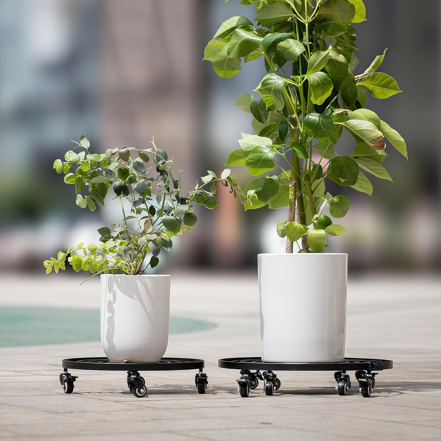 20" Heavy-Duty Plant Dolly with Wheels β Rolling Base for Indoor & Outdoor Use, Detachable Handle, 360Β° Swivel Wheels, Supports Up to 200 lbs β Ideal for Moving Large Pots & Trees