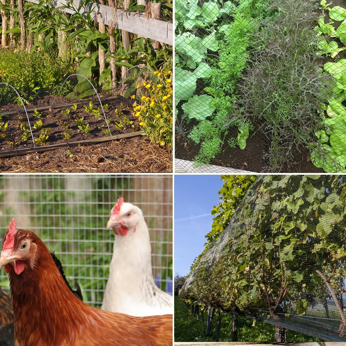Bird Netting,10 x 10 FT Garden Netting Bird Net for Chicken Coop, Poultry Netting Fence for Fruit Trees, Plants and Vegetables Against Birds, Deer, Squirrels and Other Animals