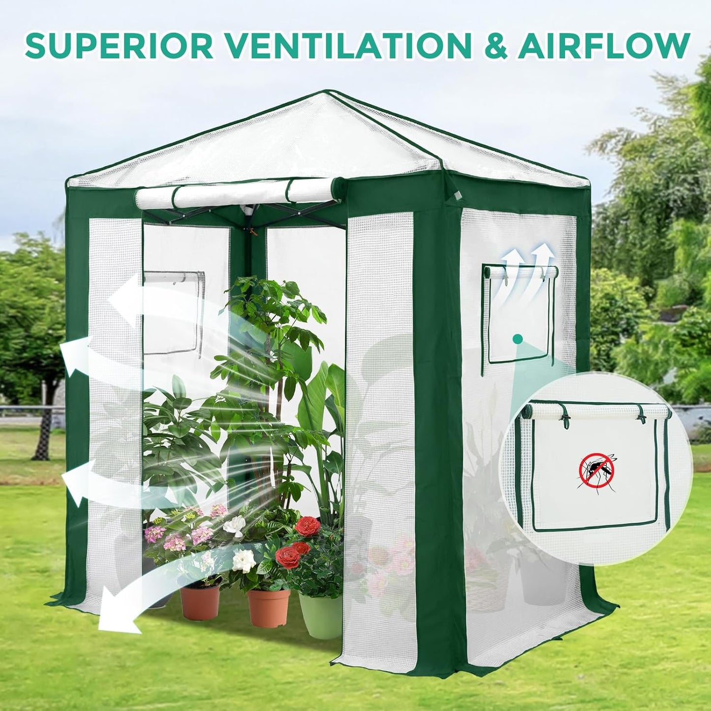 EAGLE PEAK 6x4 Portable Walk in Greenhouse with Polyester Reinforced Corners, Instant Pop up Indoor Outdoor Gardening Green House, Roll Up Zipper Entry Door and Mesh Windows, Green/White