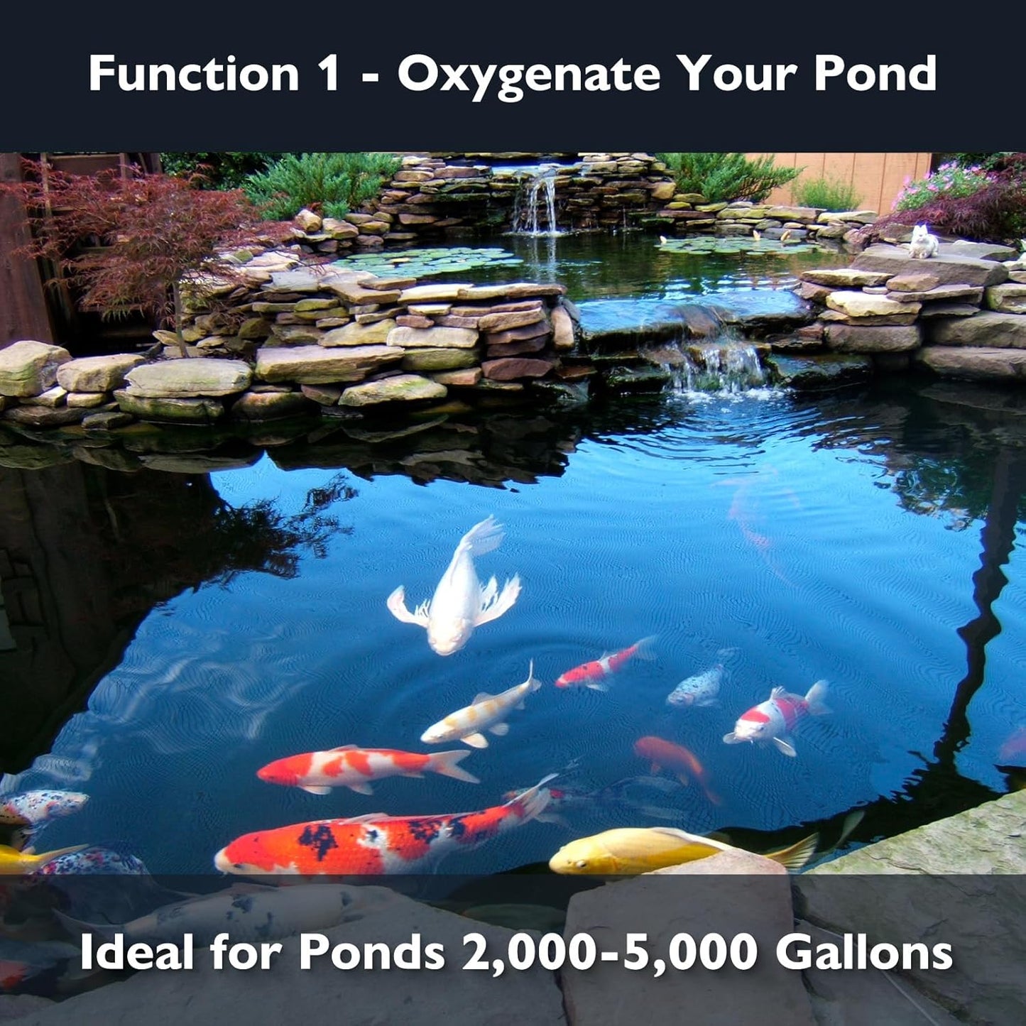 AquaMiracle Koi Pond Aerator Pond Air Pump for Outdoor Ponds 2000-5000 Gallons, All-in-One Pond Aeration Kit with Self-sinking Airline Flow Control Rubber Air Diffuser