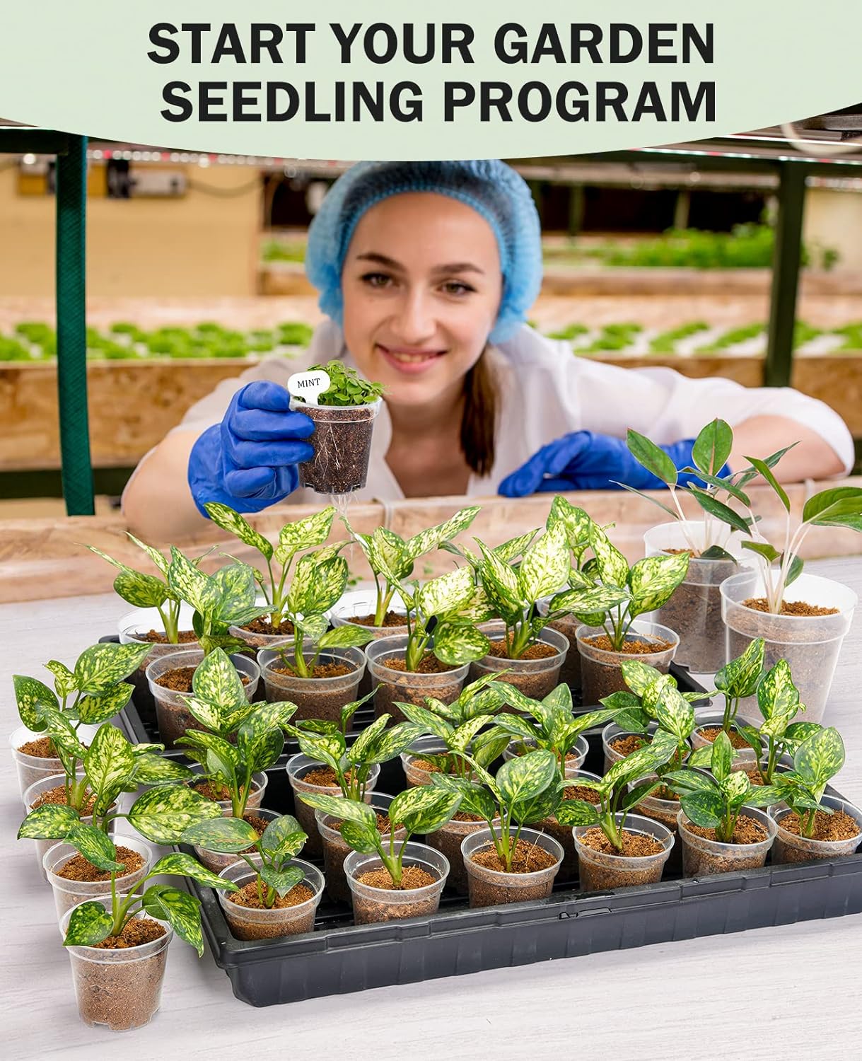 homenote Clear Nursery Pots for Plants,5 Inch Plant Pot for Planting Plastic Seedling with Drainage Holes Seed Starter Flower High Transparency with 20 Labels (30 Pack)